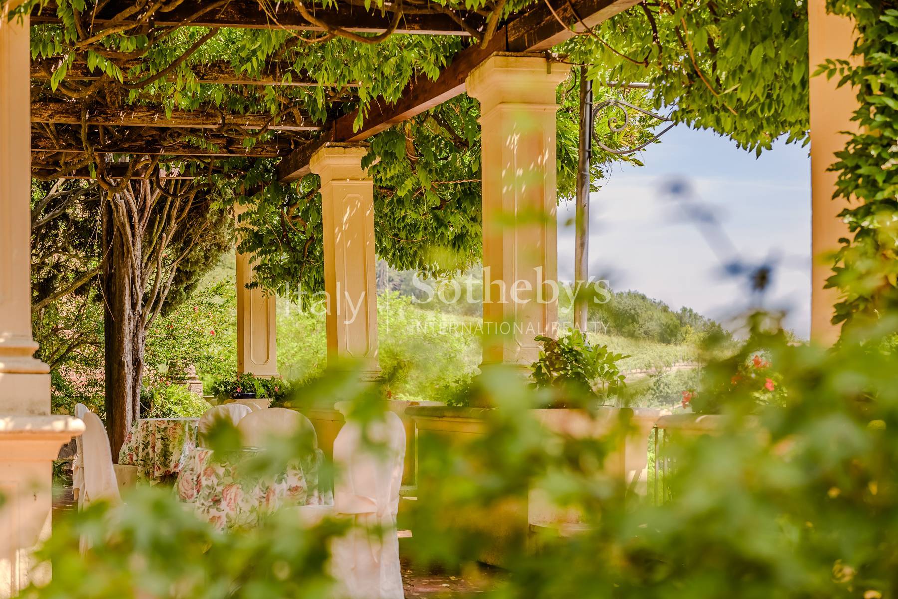  Prestigious Historic Residence in the Heart of Lower Monferrato - 物件實景