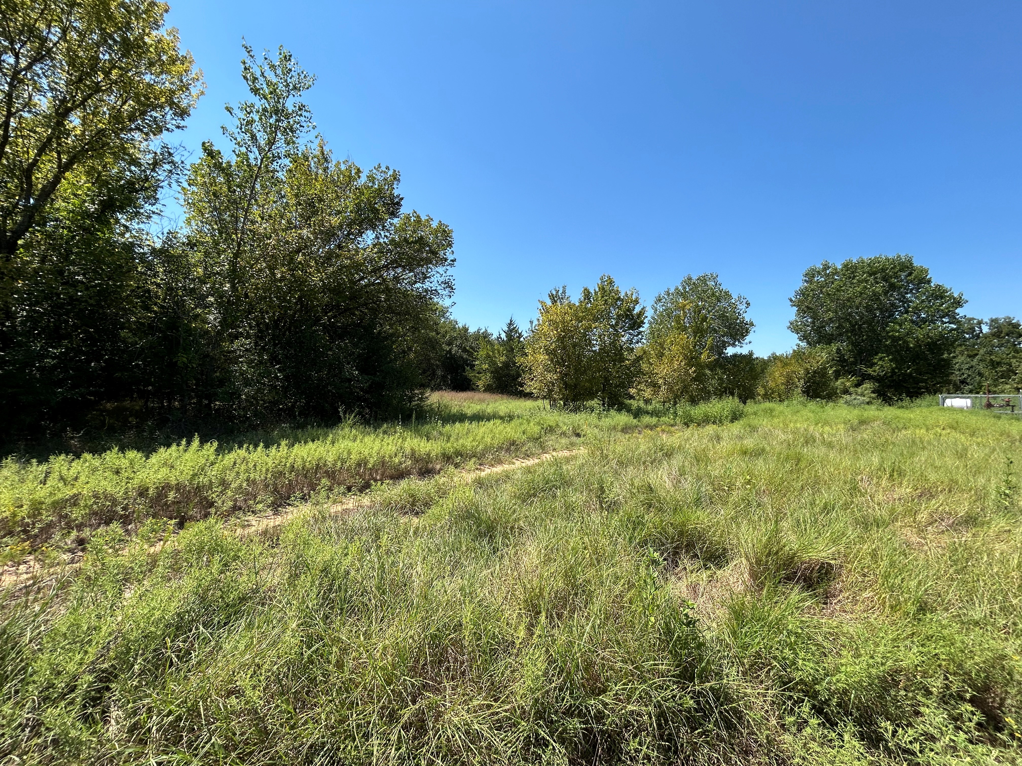 Boyd, Texas, 76023, United States, ,Land,For Sale,1974224