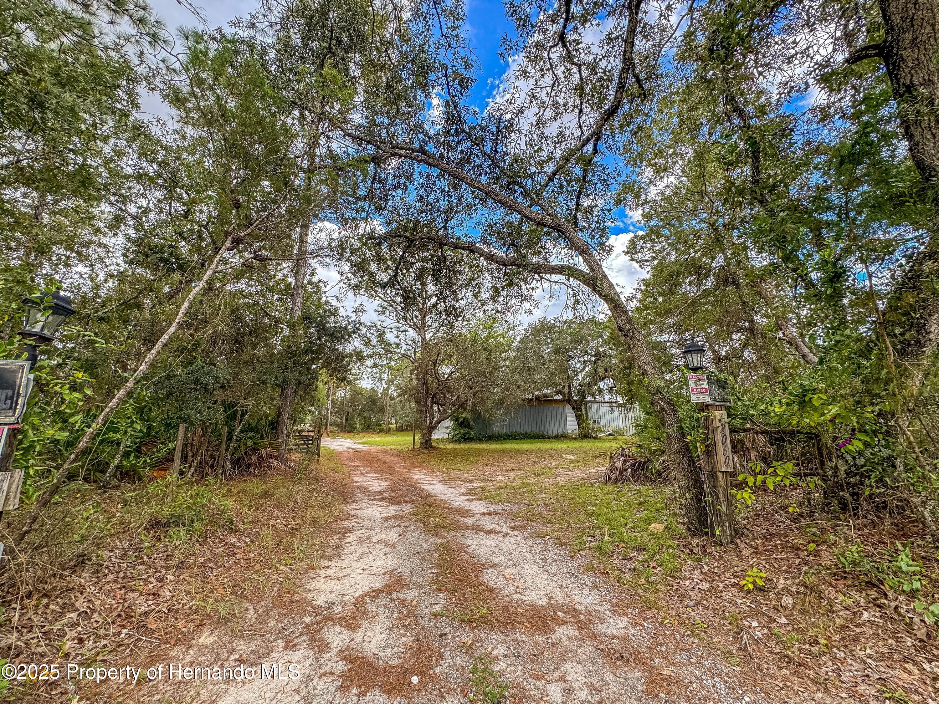 Brooksville, Florida, 34613, United States, 4 Bedrooms Bedrooms, ,2 BathroomsBathrooms,Residential,For Sale,1975088