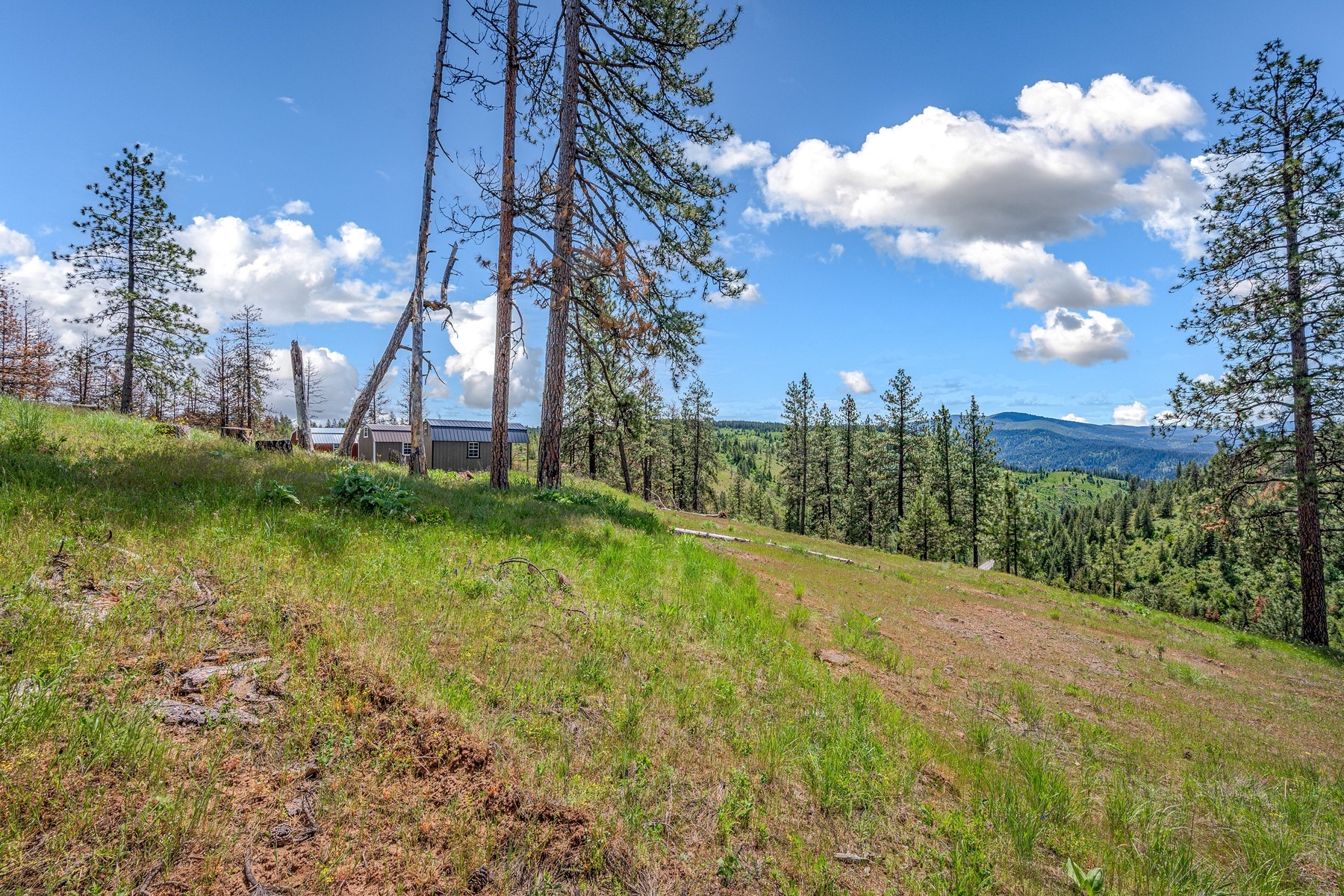  Cabins on 17ac. Surrounded by Lumber Land - 物件實景
