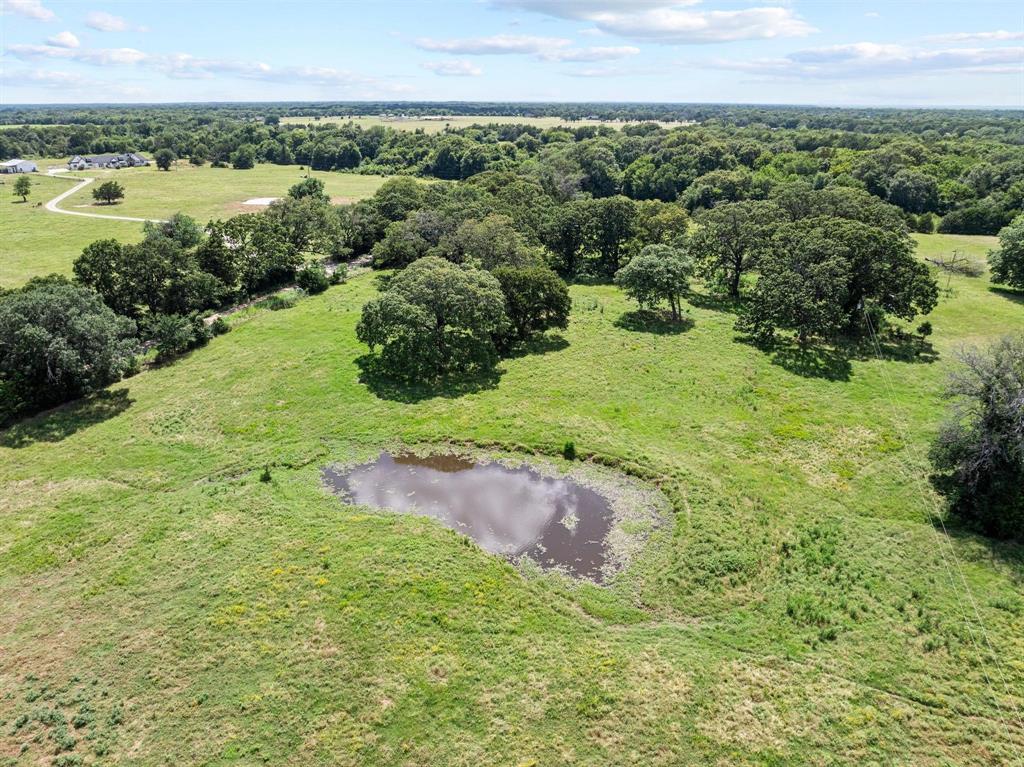 Ivanhoe, Texas, 75447, United States, 4 Bedrooms Bedrooms, ,4 BathroomsBathrooms,Residential,For Sale,1879040