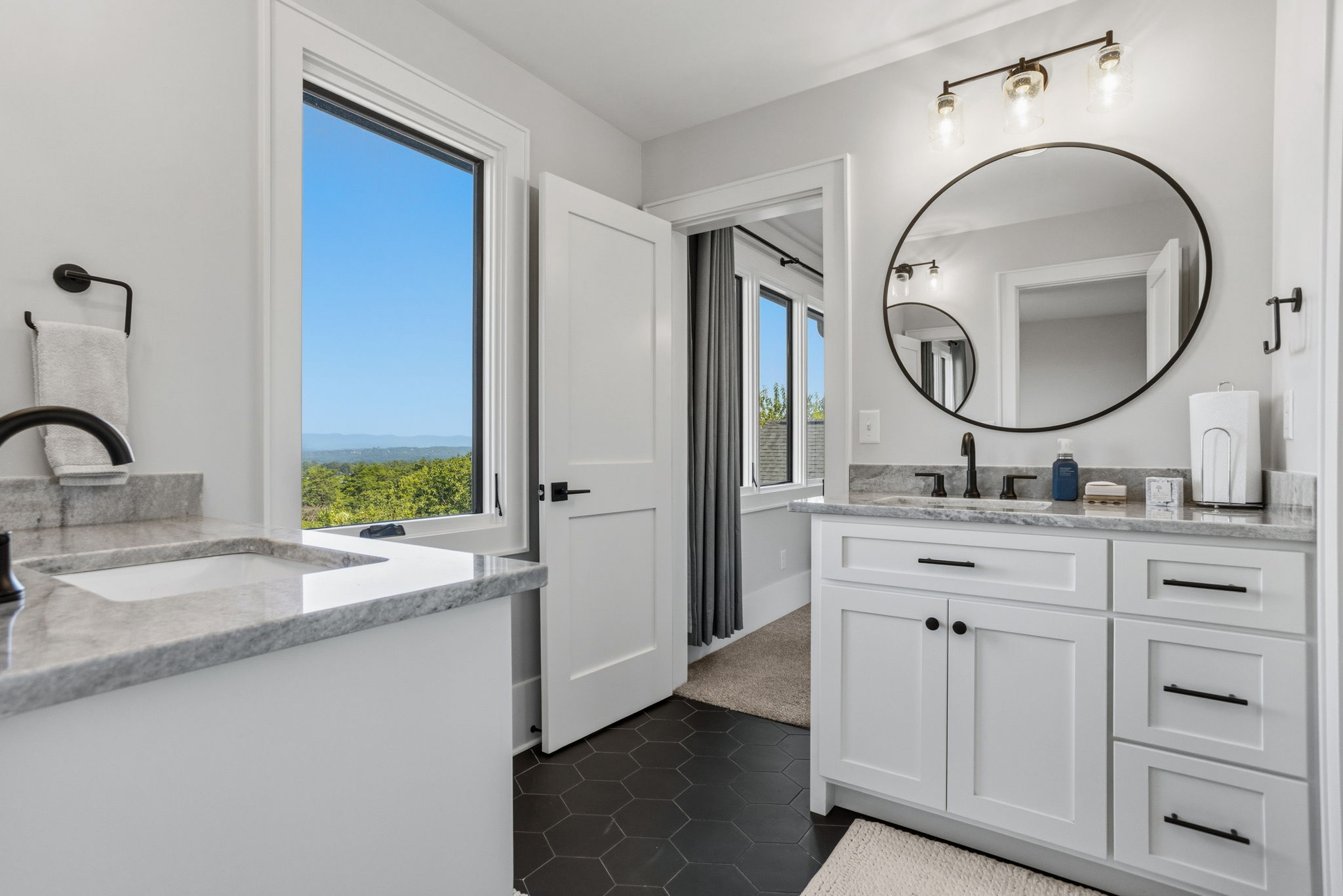  101 Frangipani Way, Greenville, SC 29609 - 物件實景