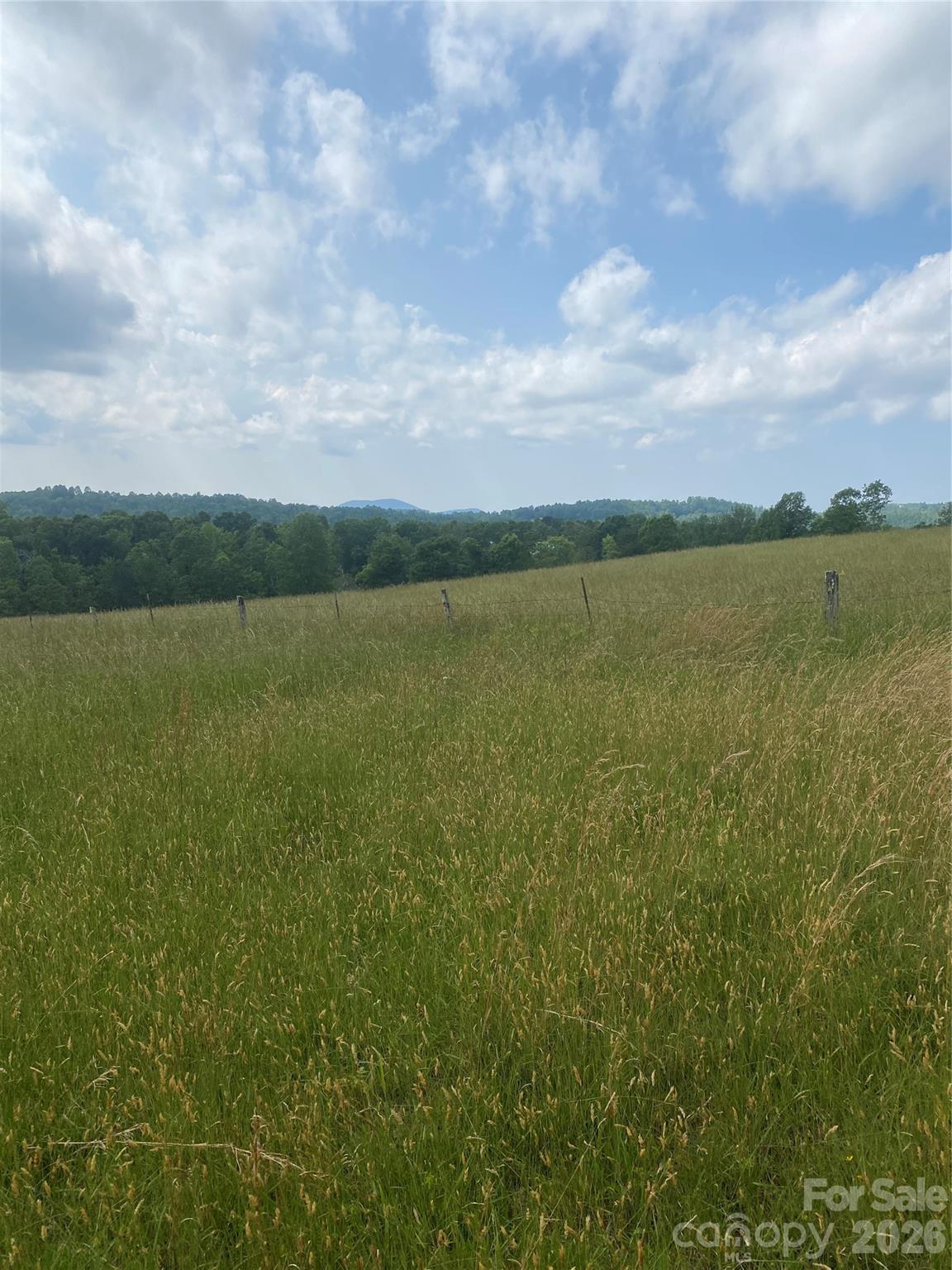 Hendersonville, North Carolina, 28792, United States, ,Land,For Sale,2010421