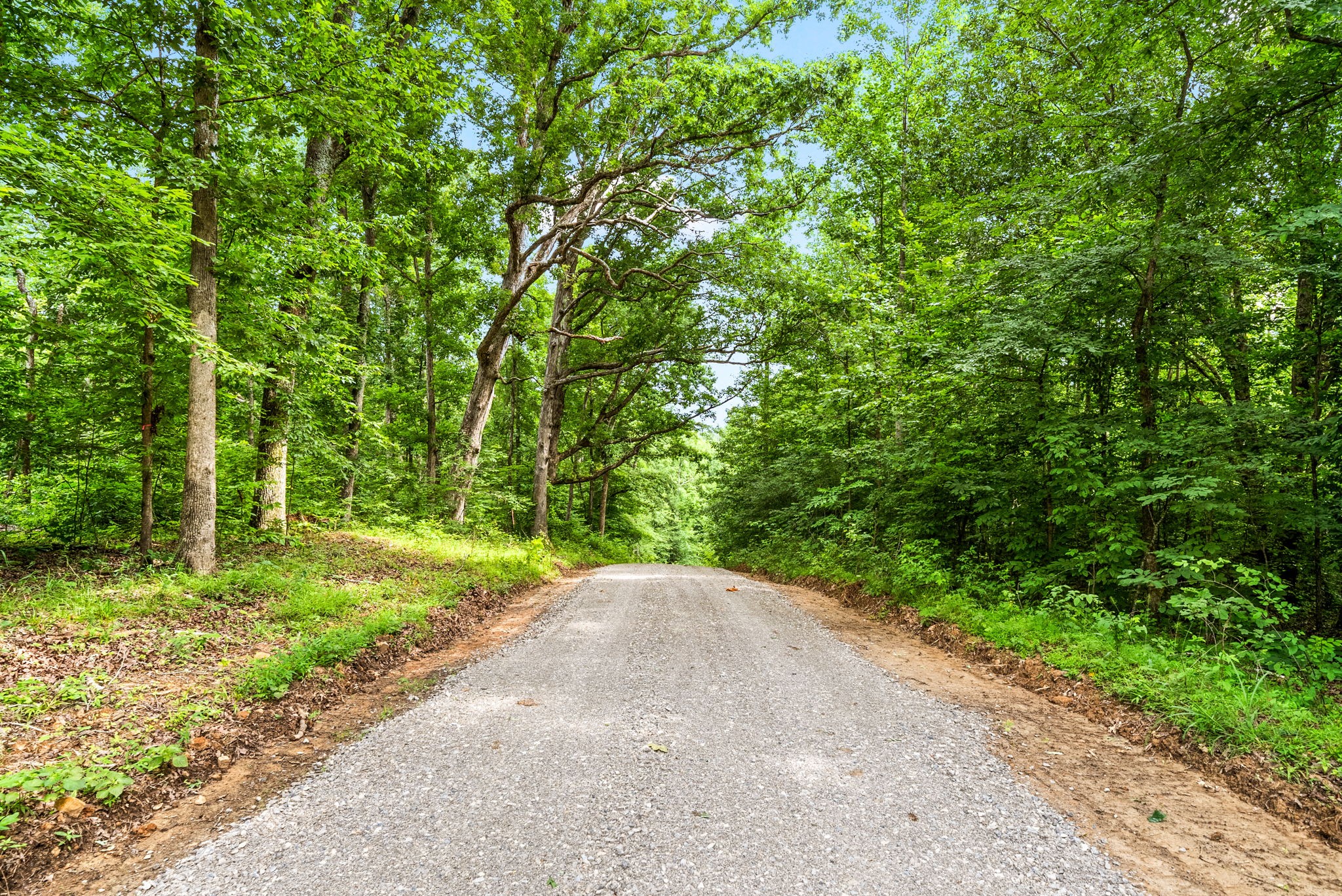  196 Wildlife Road, Dover, TN, 37058 - 物件實景