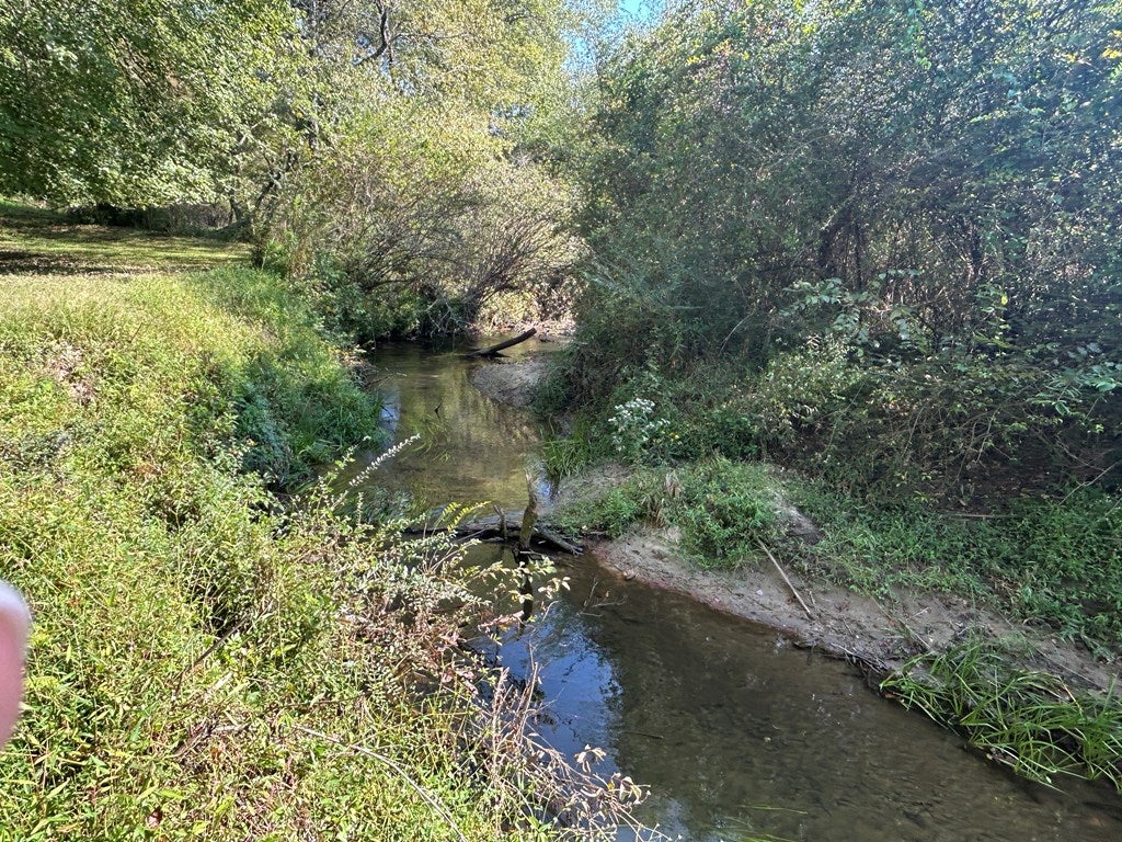 Blue Ridge, Georgia, 30513, United States, 3 Bedrooms Bedrooms, ,3 BathroomsBathrooms,Residential,For Sale,1954403