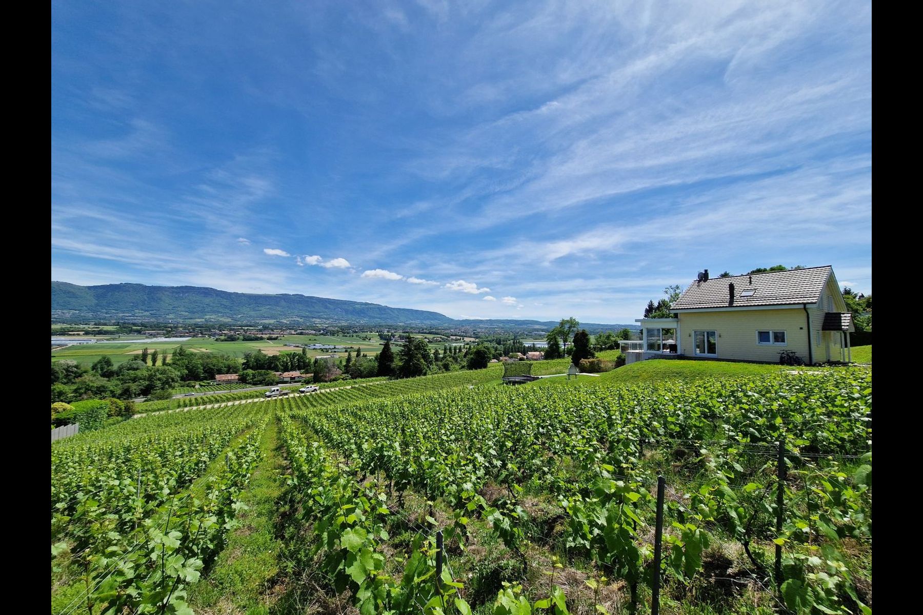  9-room detached villa with panoramic view - 物件實景