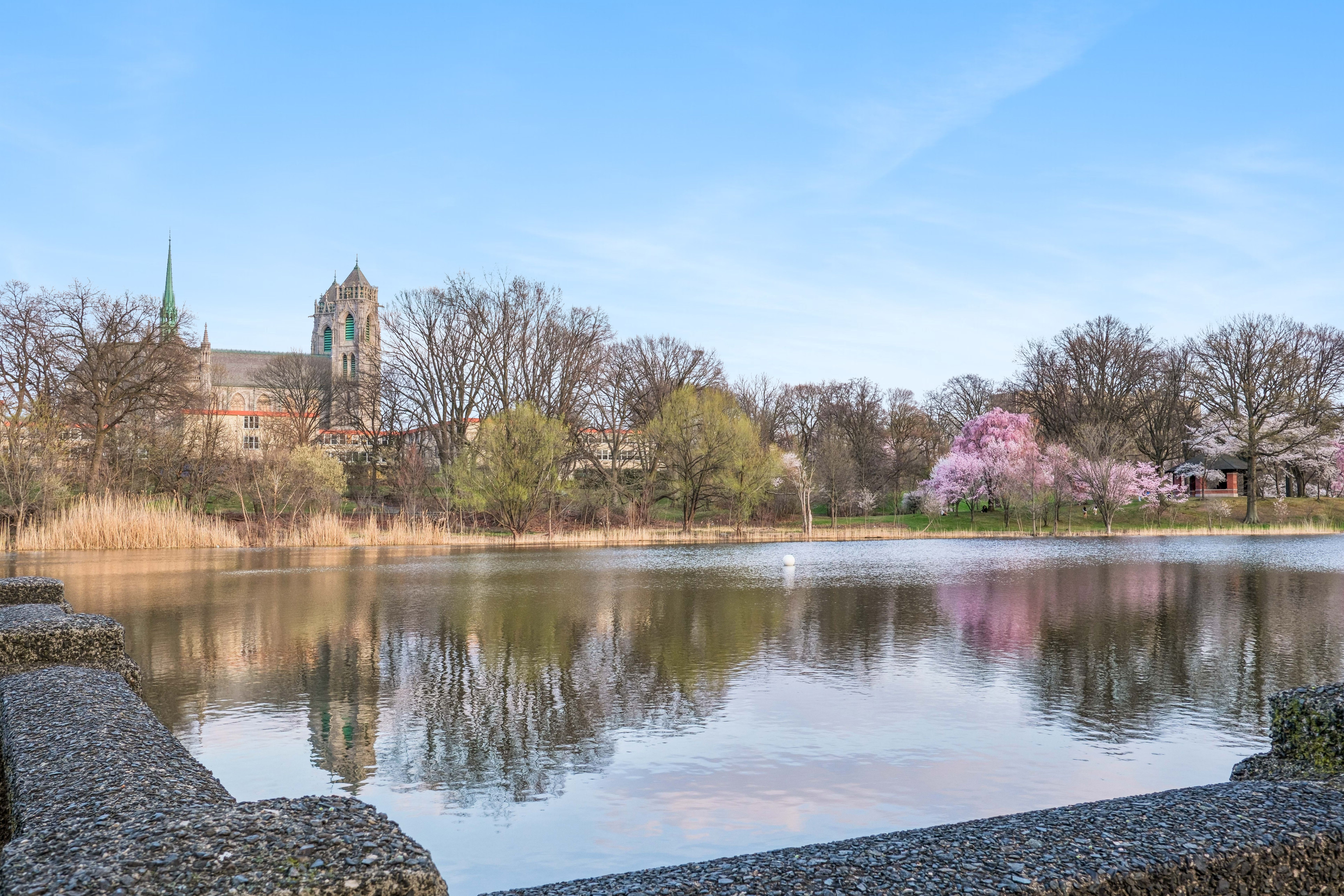  363-377 Mount Prospect Avenue, Newark, NJ 07104 - 物件實景