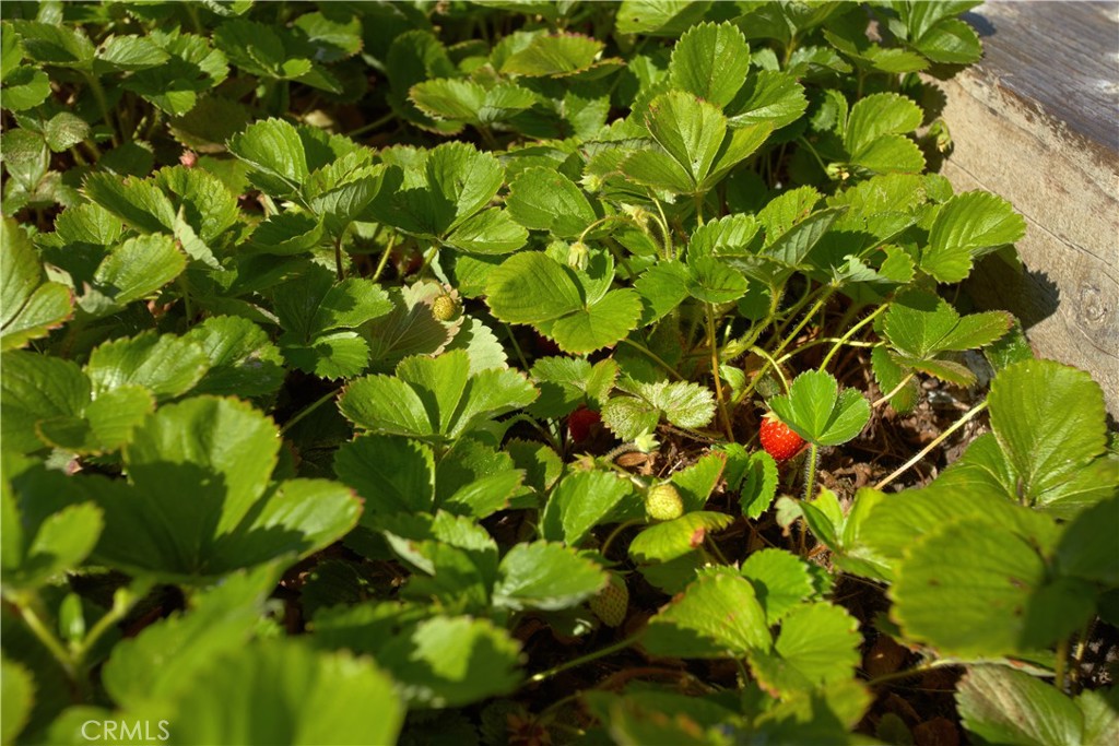 Newport Beach, California, 92660, United States, 4 Bedrooms Bedrooms, ,3 BathroomsBathrooms,Residential,For Sale,1927269