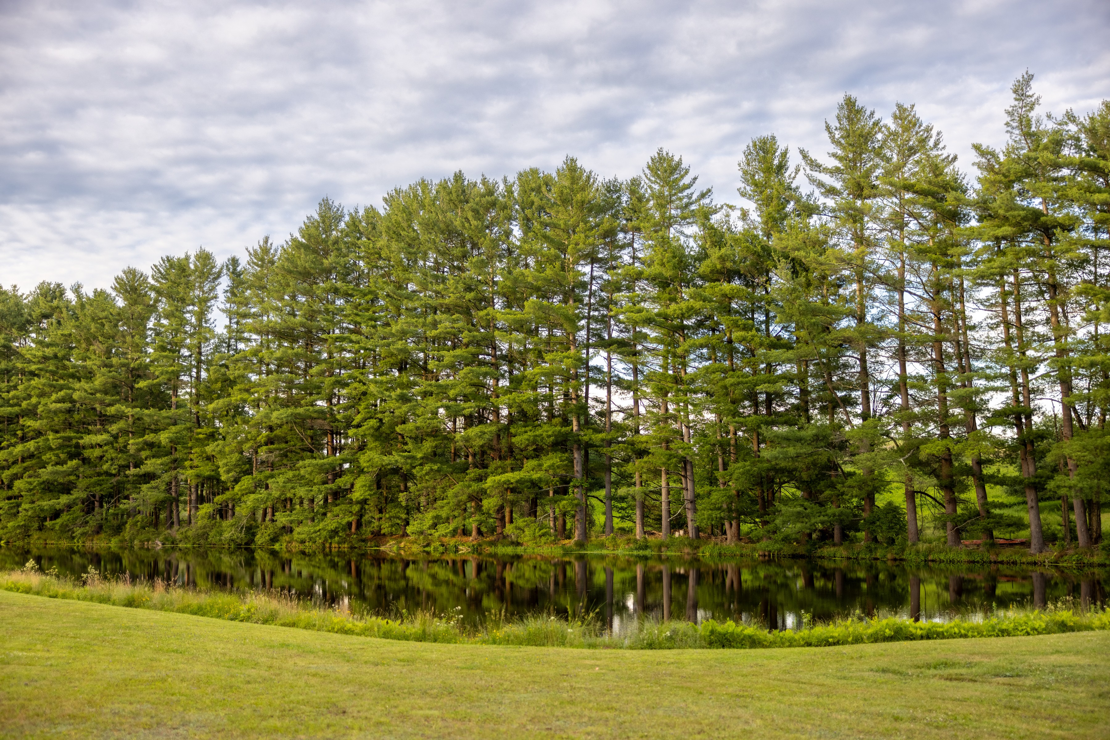  Fraser Settlement 1808 - 物件實景