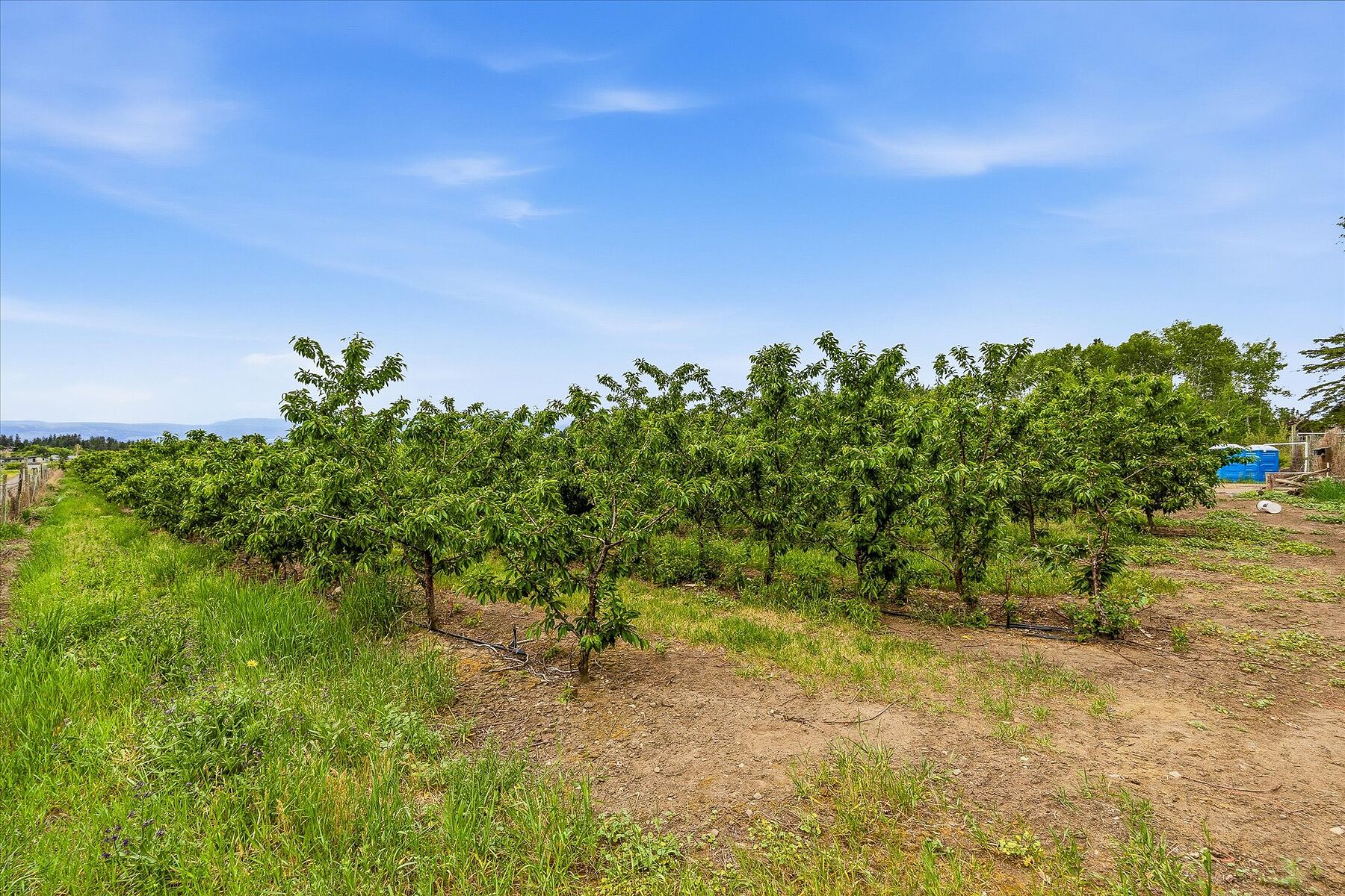  17.66 Acre Cherry Orchard - 物件實景