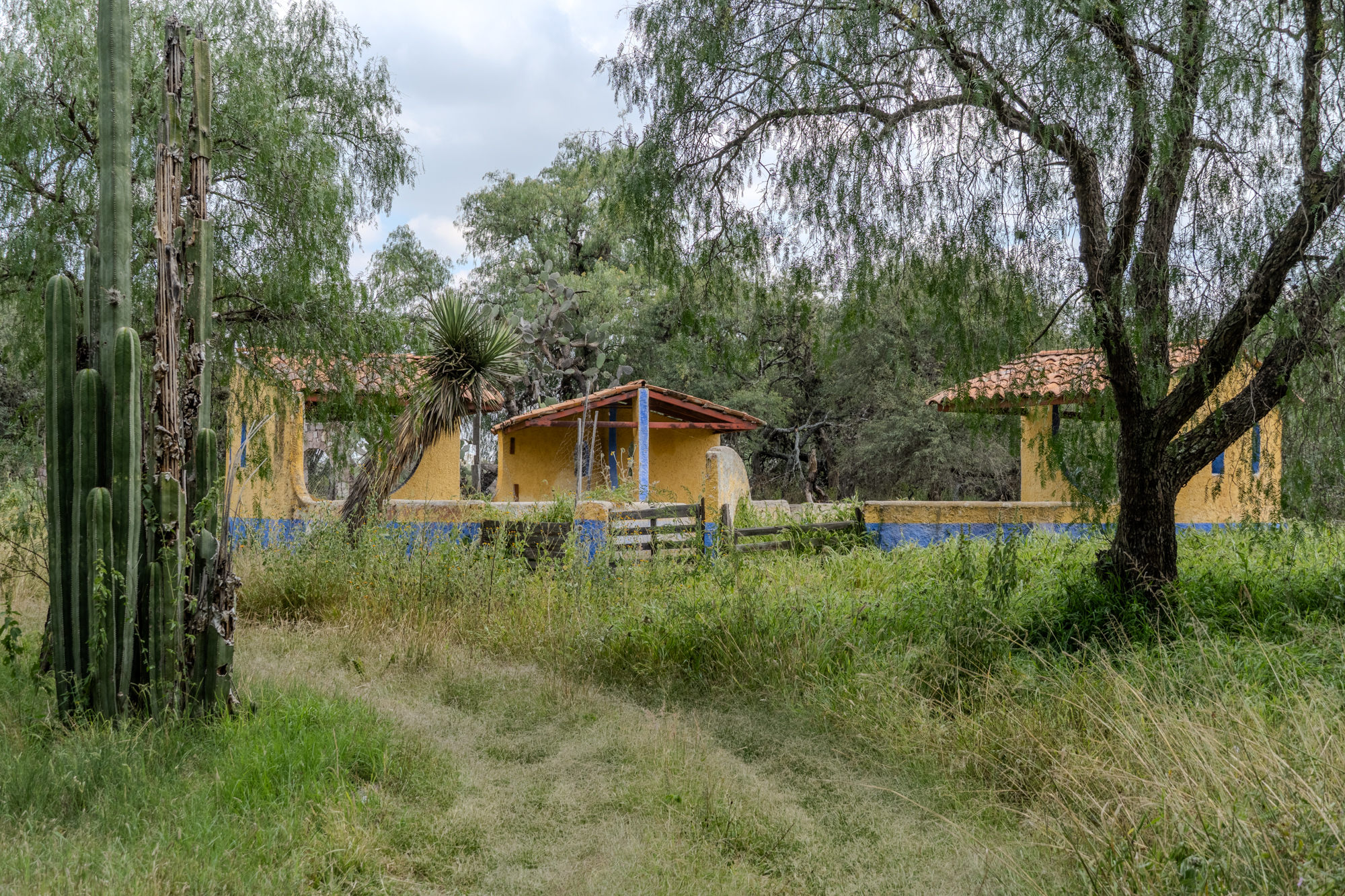  Rancho Palma Gorda - 物件實景