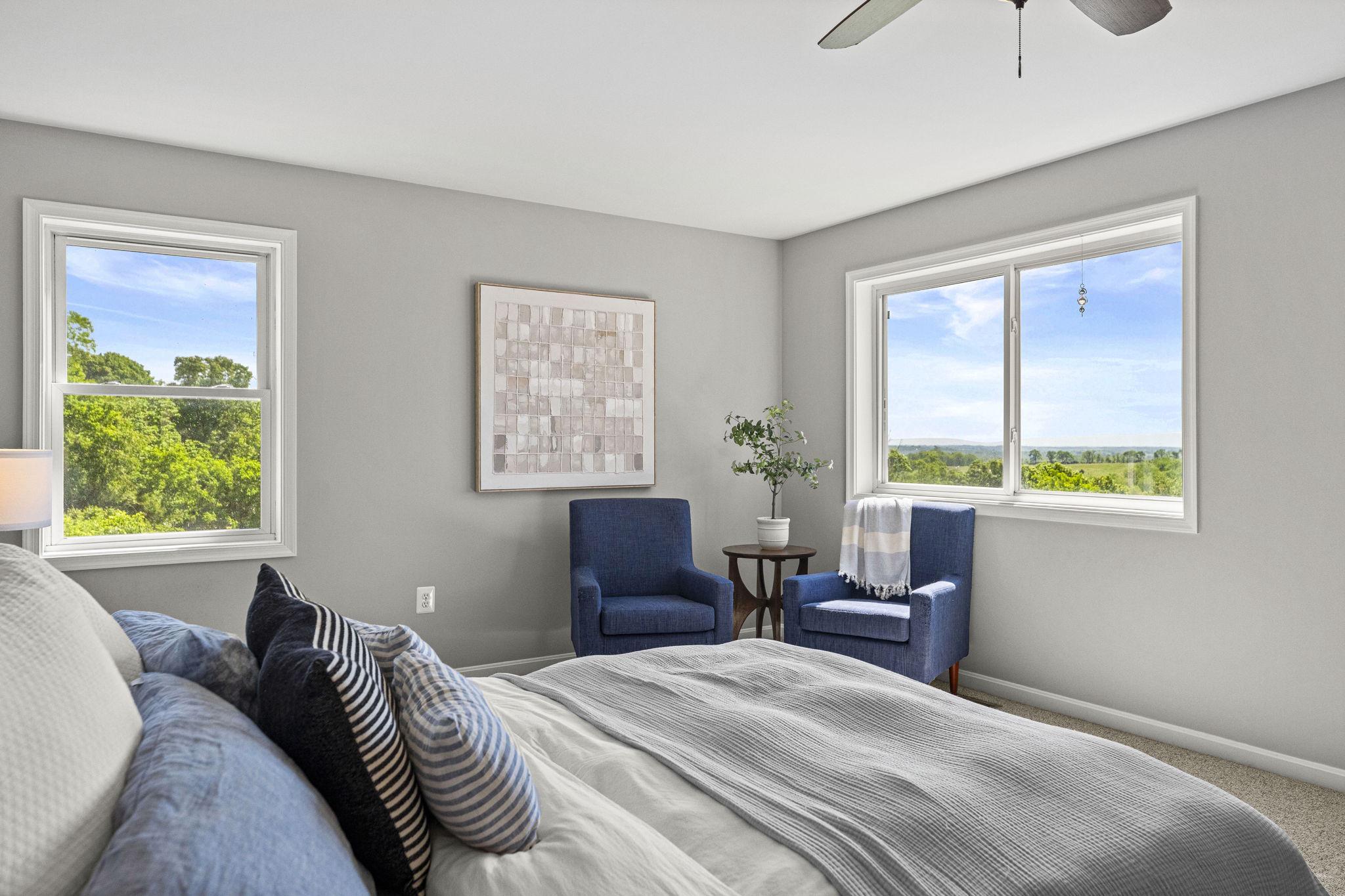  384 Lindamood Lane, Strasburg, VA, 22641 - 物件實景