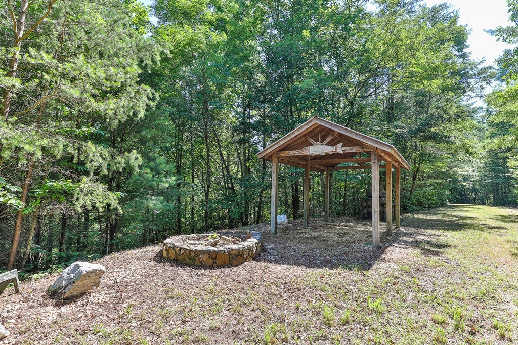 Cherry Log, Georgia, 30522, United States, ,Land,For Sale,1858995