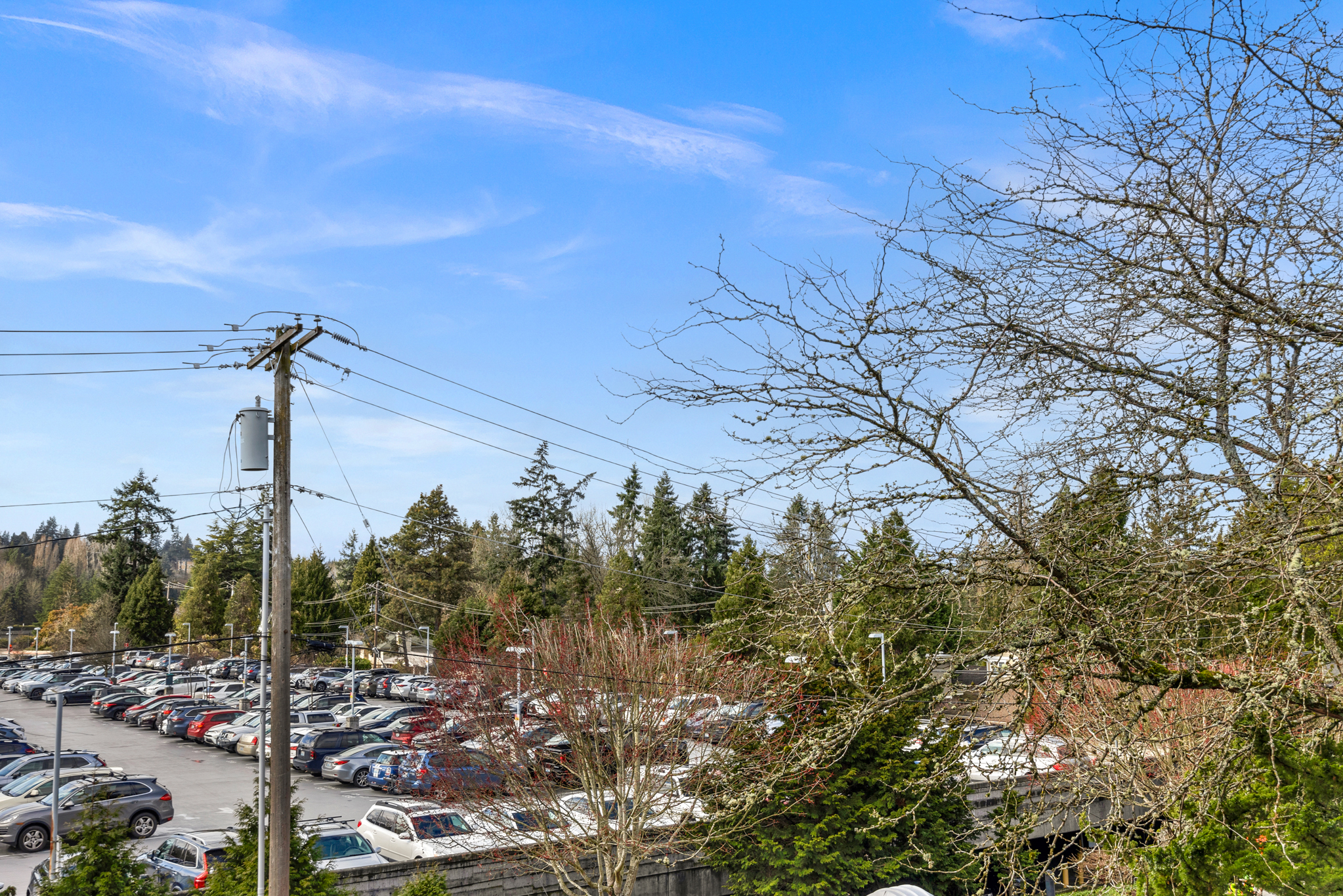  2500 81st Ave SE Unit #118, Mercer Island, WA 98040 - 物件實景
