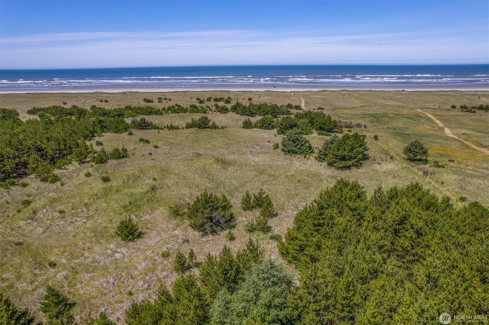 Long Beach, Washington, 98631, United States, ,Land,For Sale,1981541