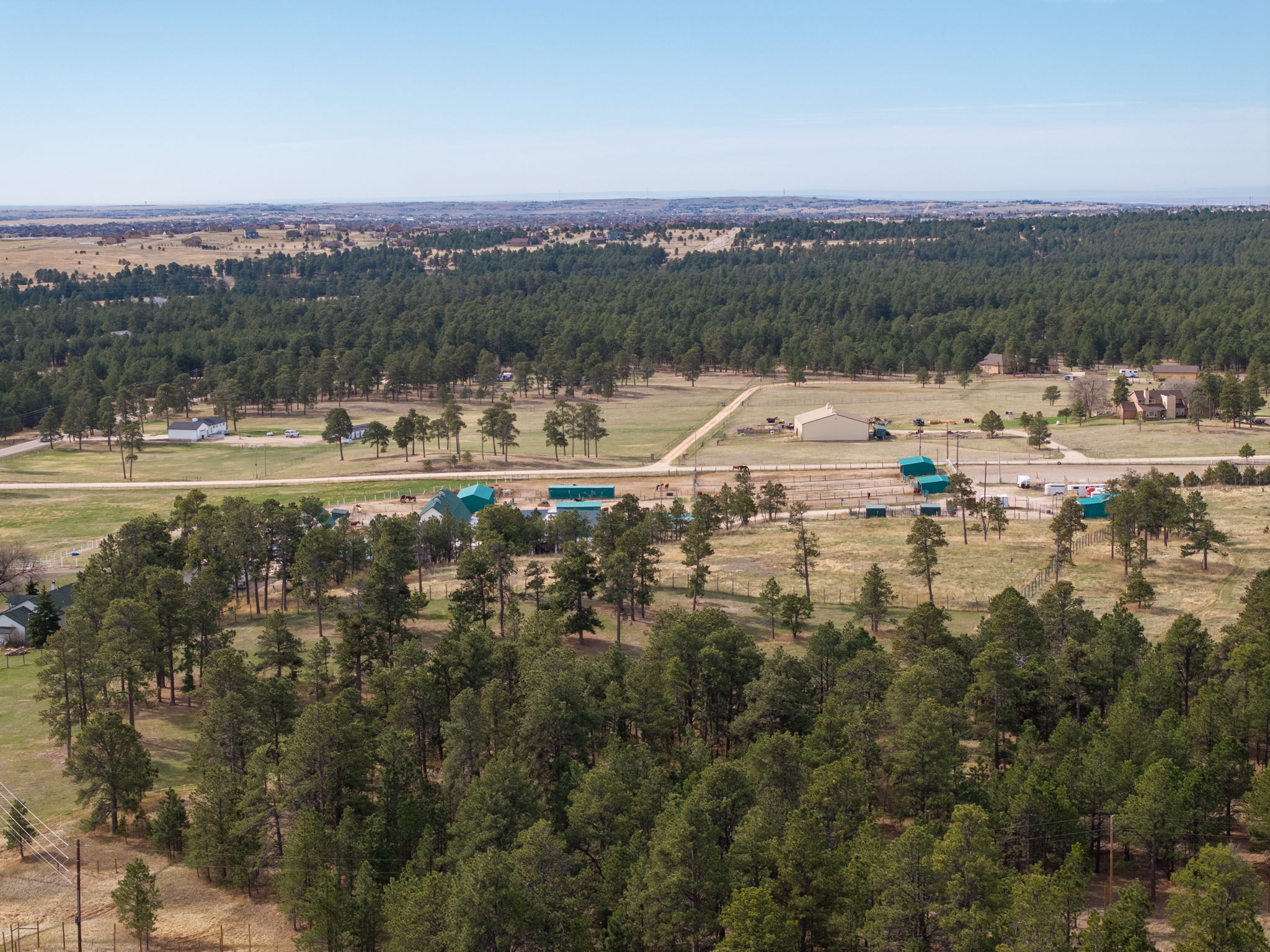  Historic Pine Run Ranch in Black Forest on rare 60 acres - 物件實景