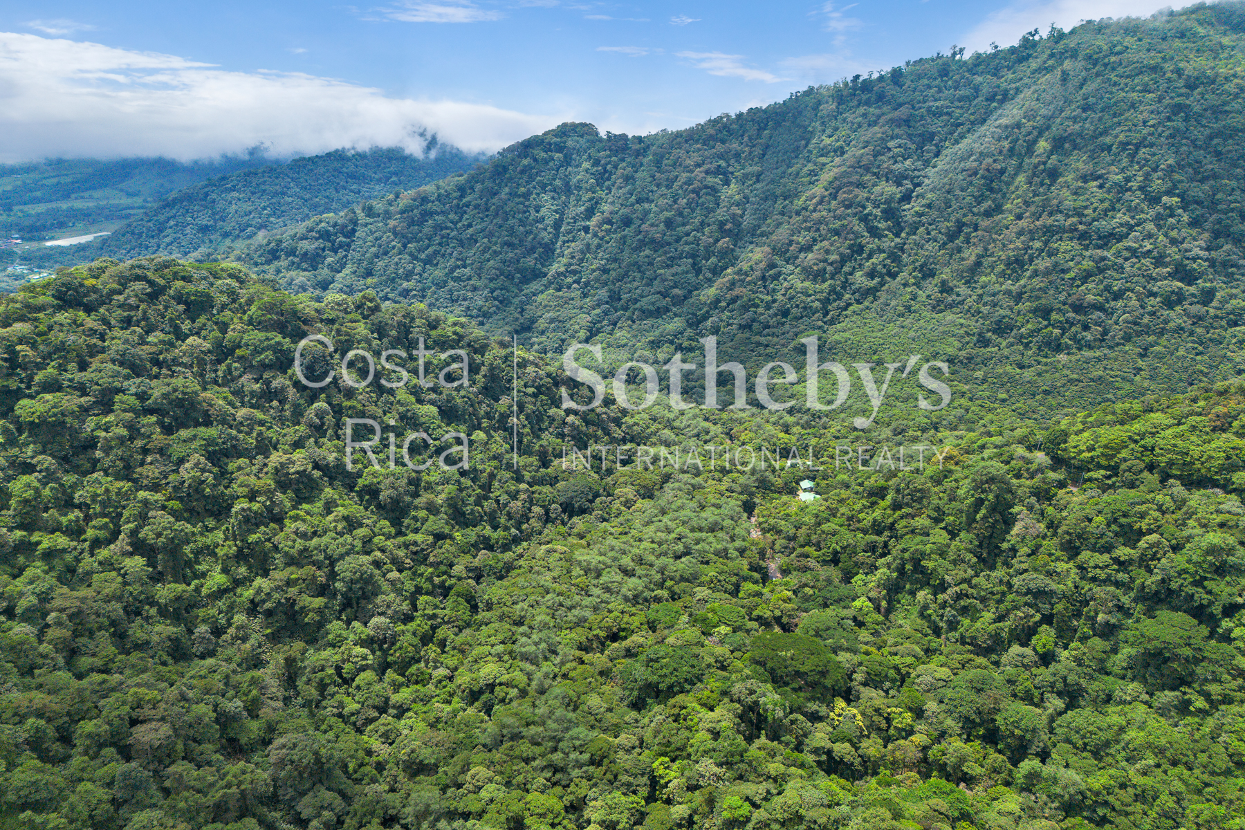  Centro Científico para la Conservación Bosque de Paz - 物件實景