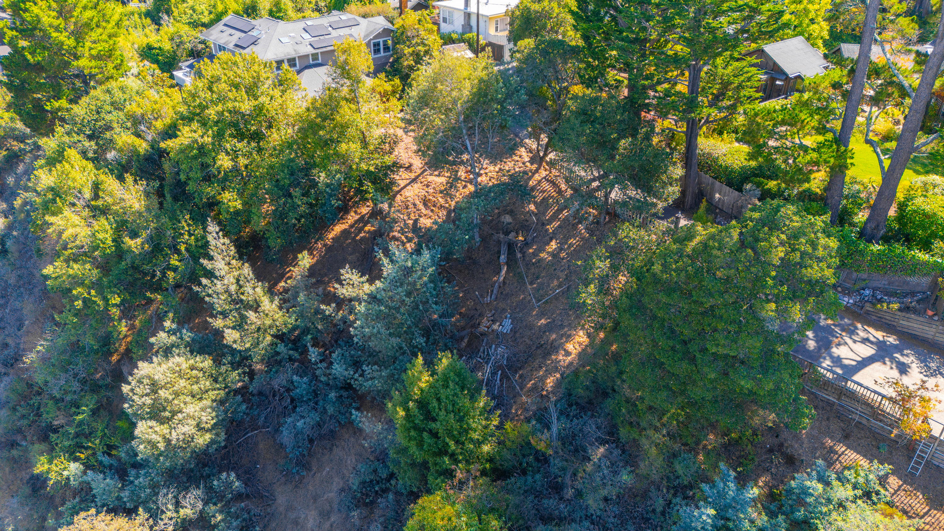  Exceptional Mill Valley Lot with Expired Approved Plans - 物件實景