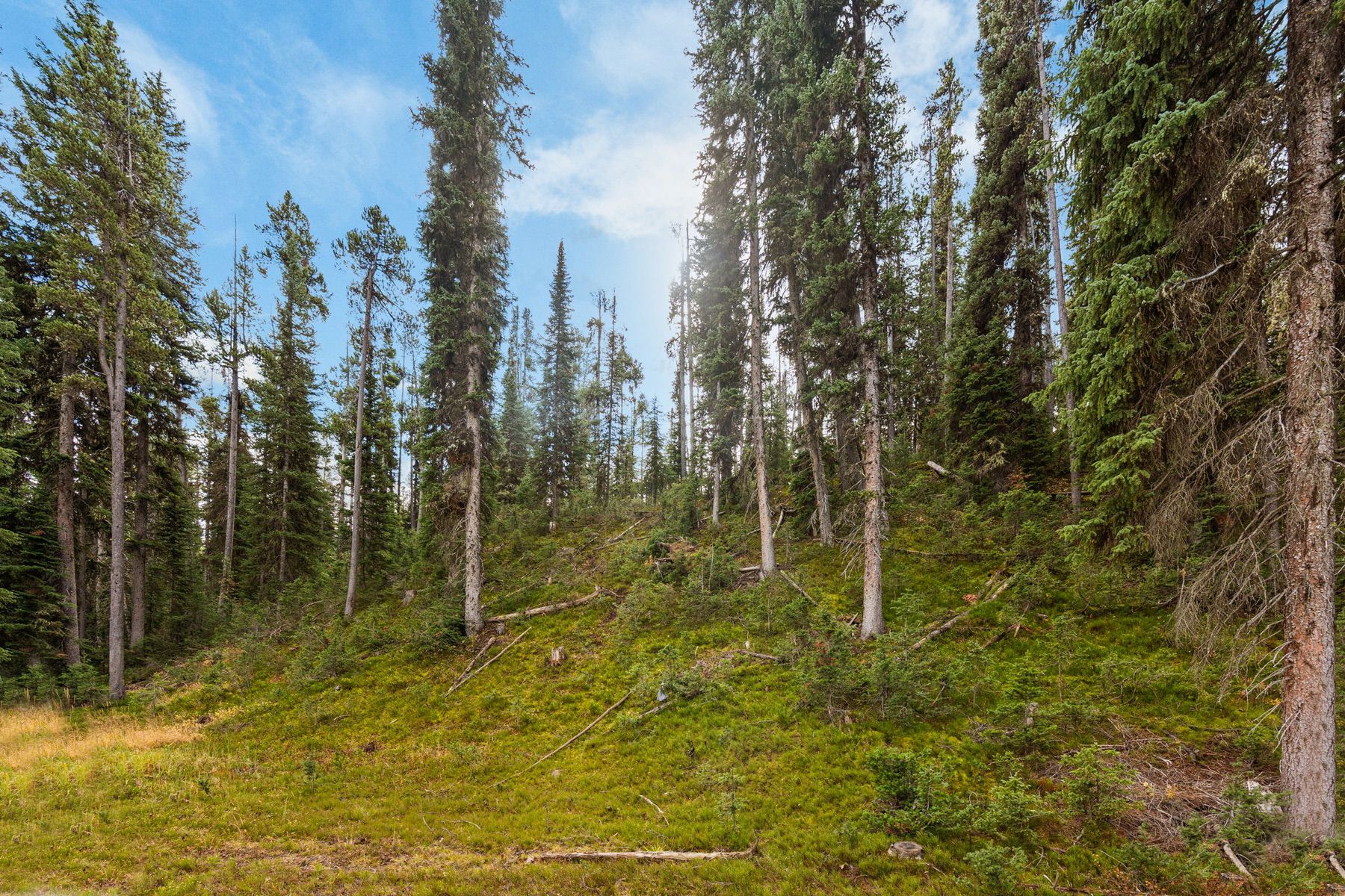  708 US Highway 212 W - 物件實景