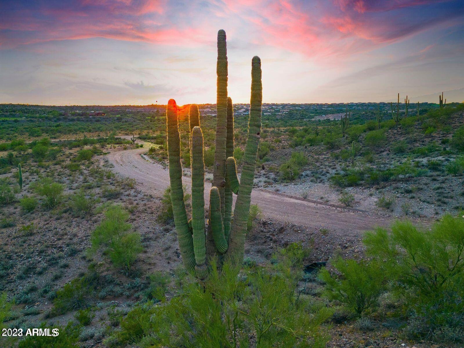 Wickenburg, Arizona, 85390, United States, ,Land,For Sale,2010765