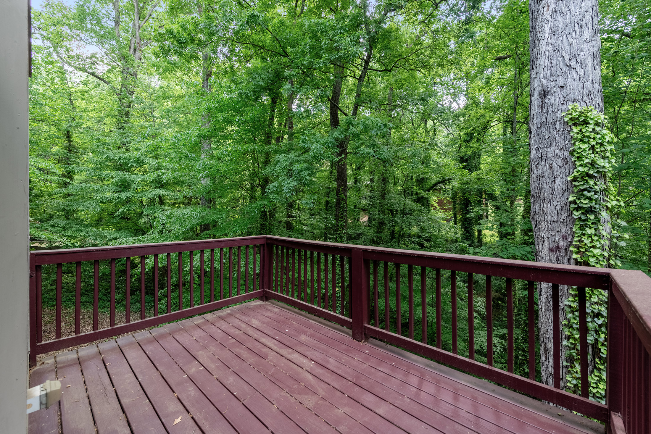  Bright Traditional with Custom Upgrades in Collier Heights - 物件實景