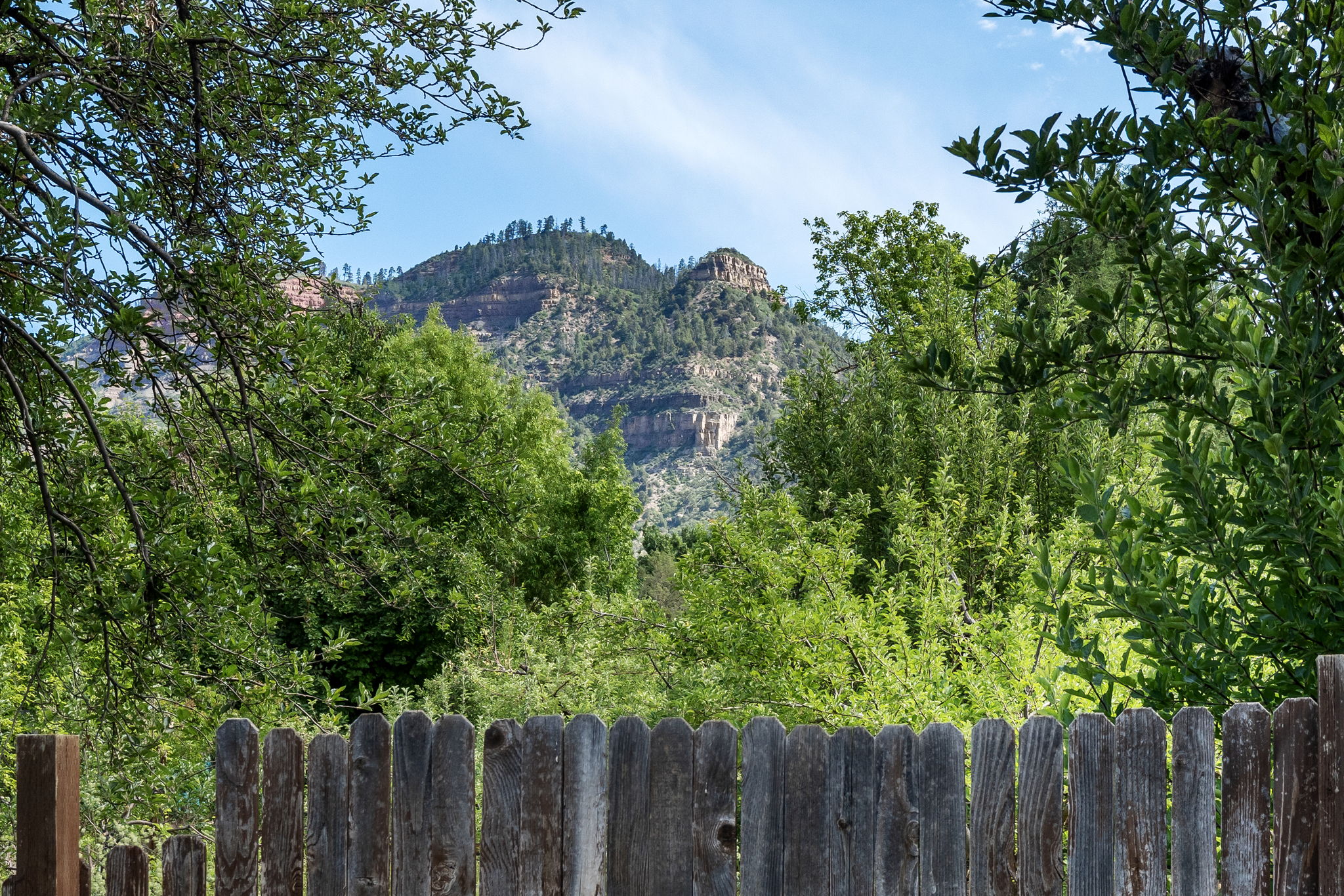  34 Bruce Lane, Durango, CO 81301 - 物件實景