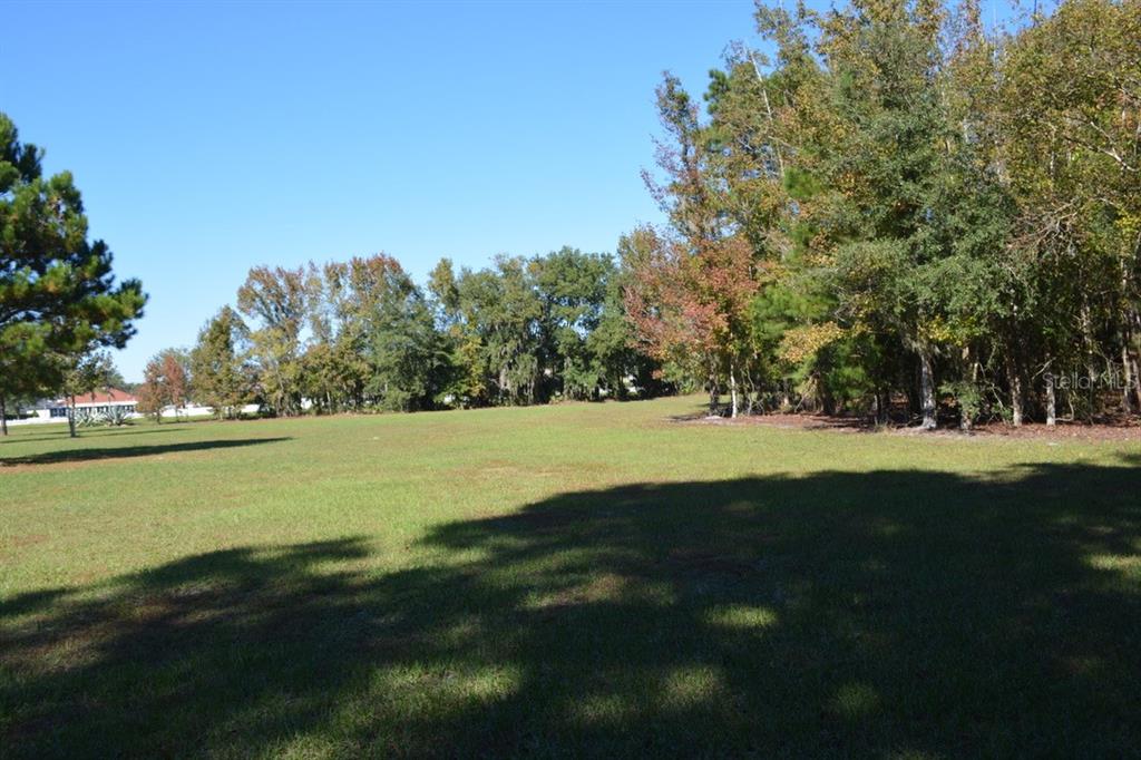 Sanford, Florida, 32773, United States, ,Land,For Sale,1987674