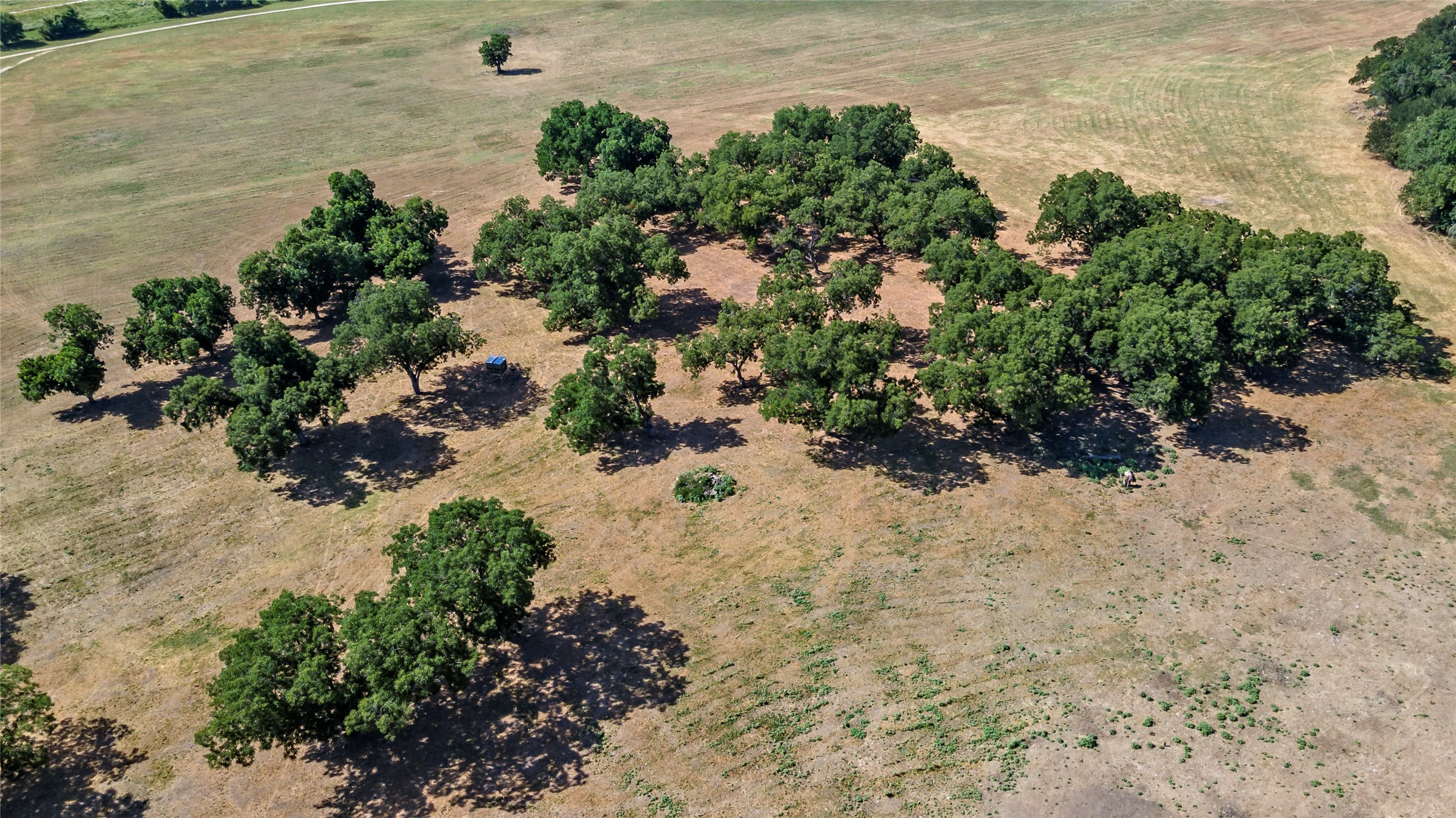 Reagan, Texas, 76680, United States, ,Land,For Sale,1986271