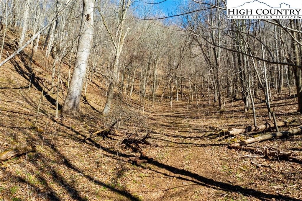 Warrensville, North Carolina, 28693, United States, ,Land,For Sale,1984173