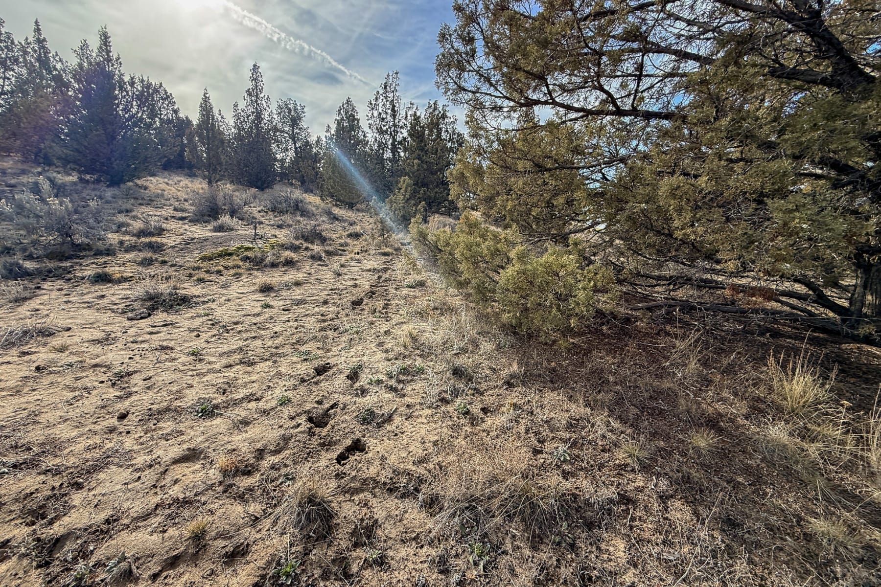  2600 SE TL 2600 Seneca Road Prineville, OR 97754 - 物件實景
