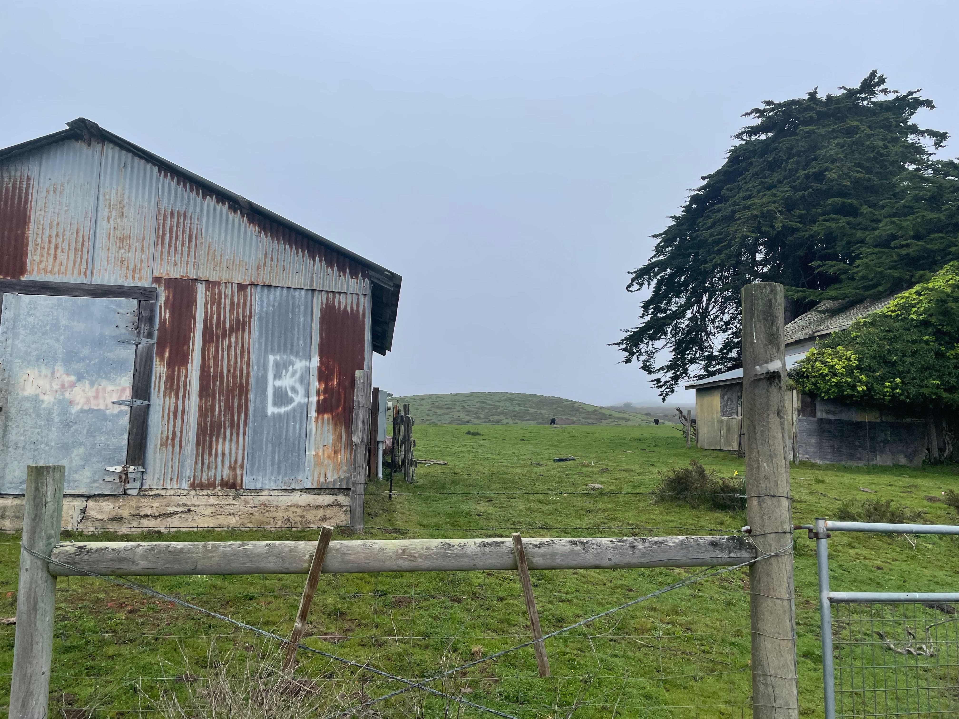  610 California 1, Bodega Bay, CA 94923 - 物件實景