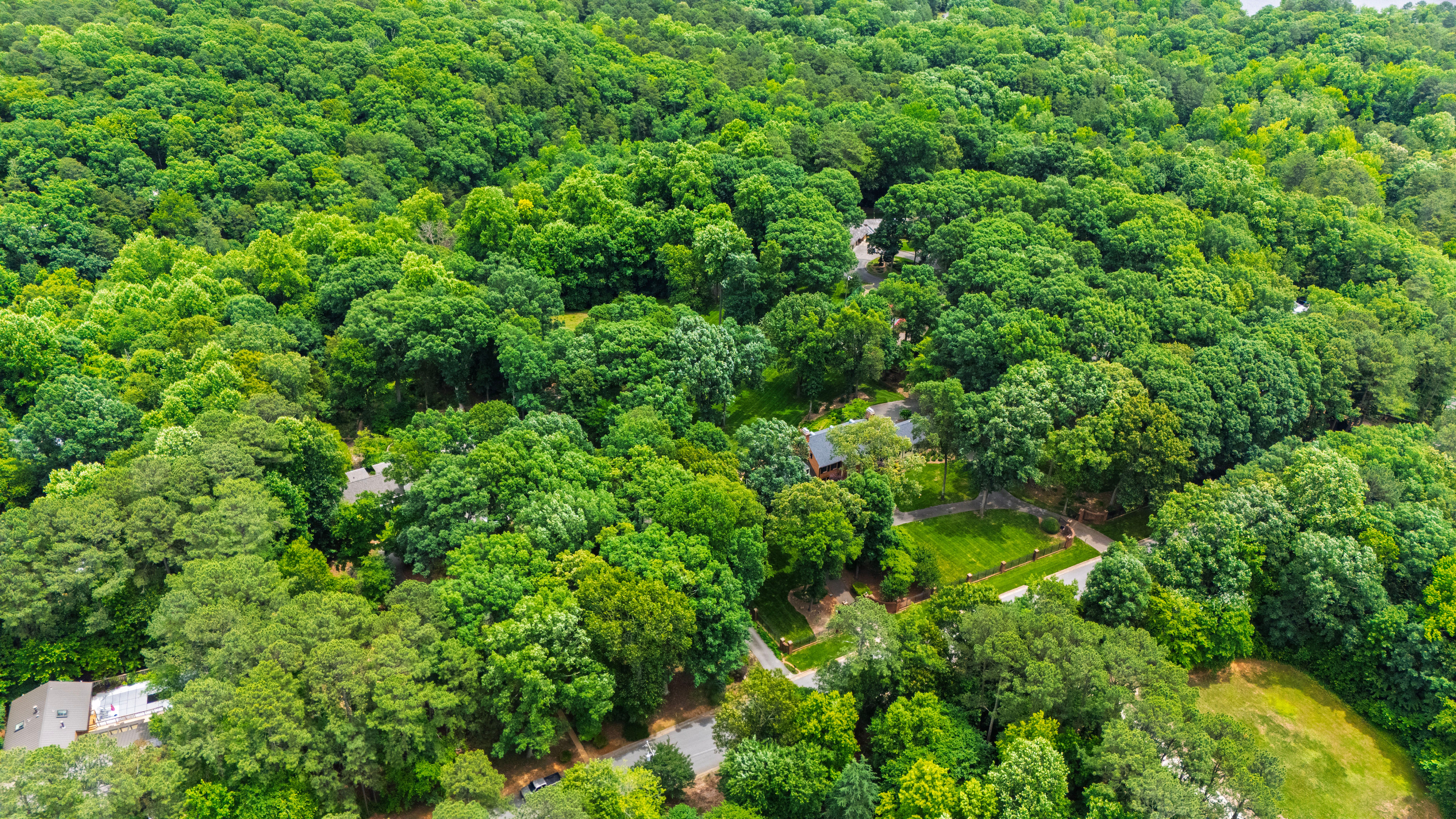  820 Kenmore Road, Chapel Hill, NC, 27514 - 物件實景