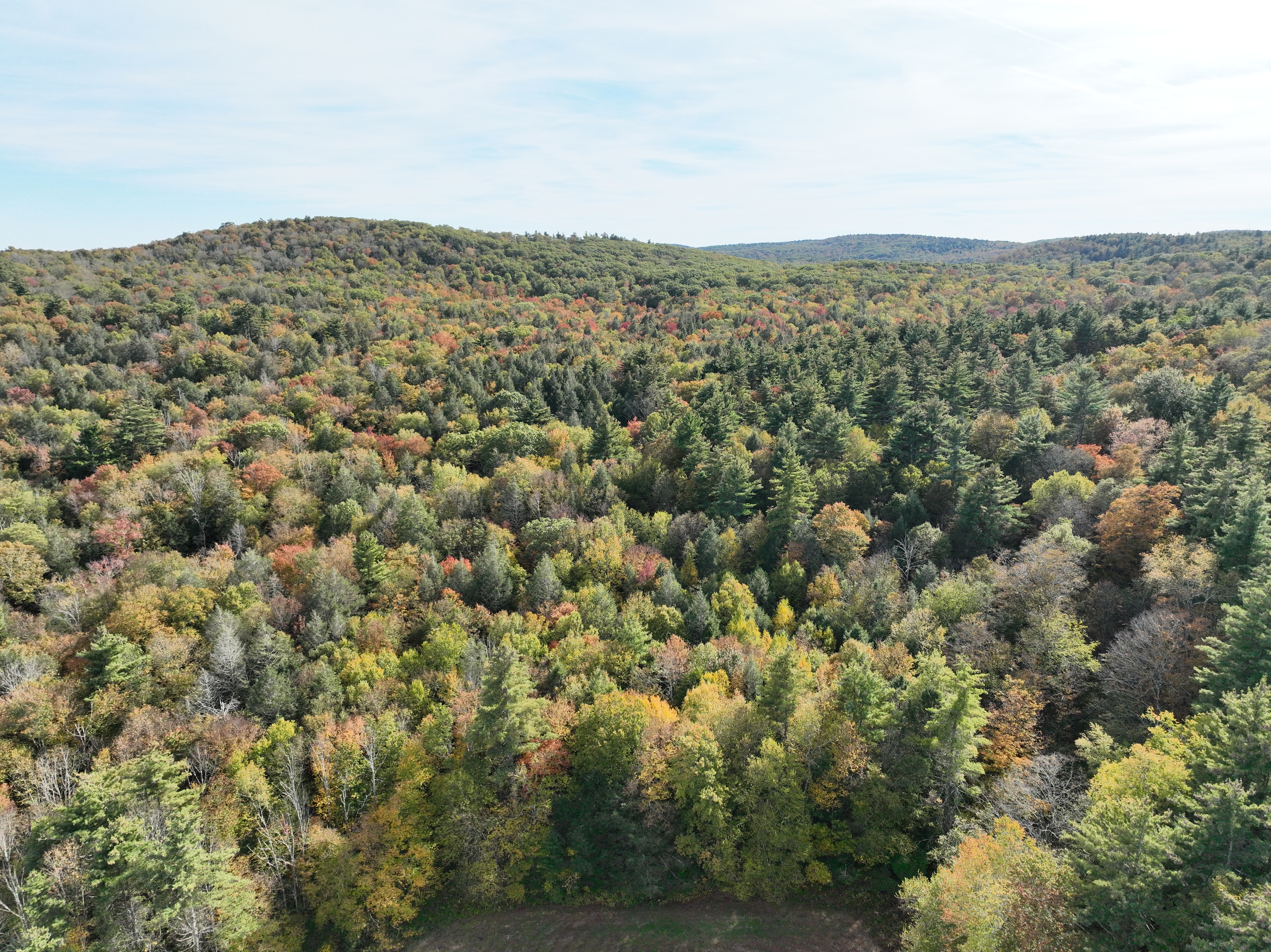  000000 Norfolk Road - 物件實景