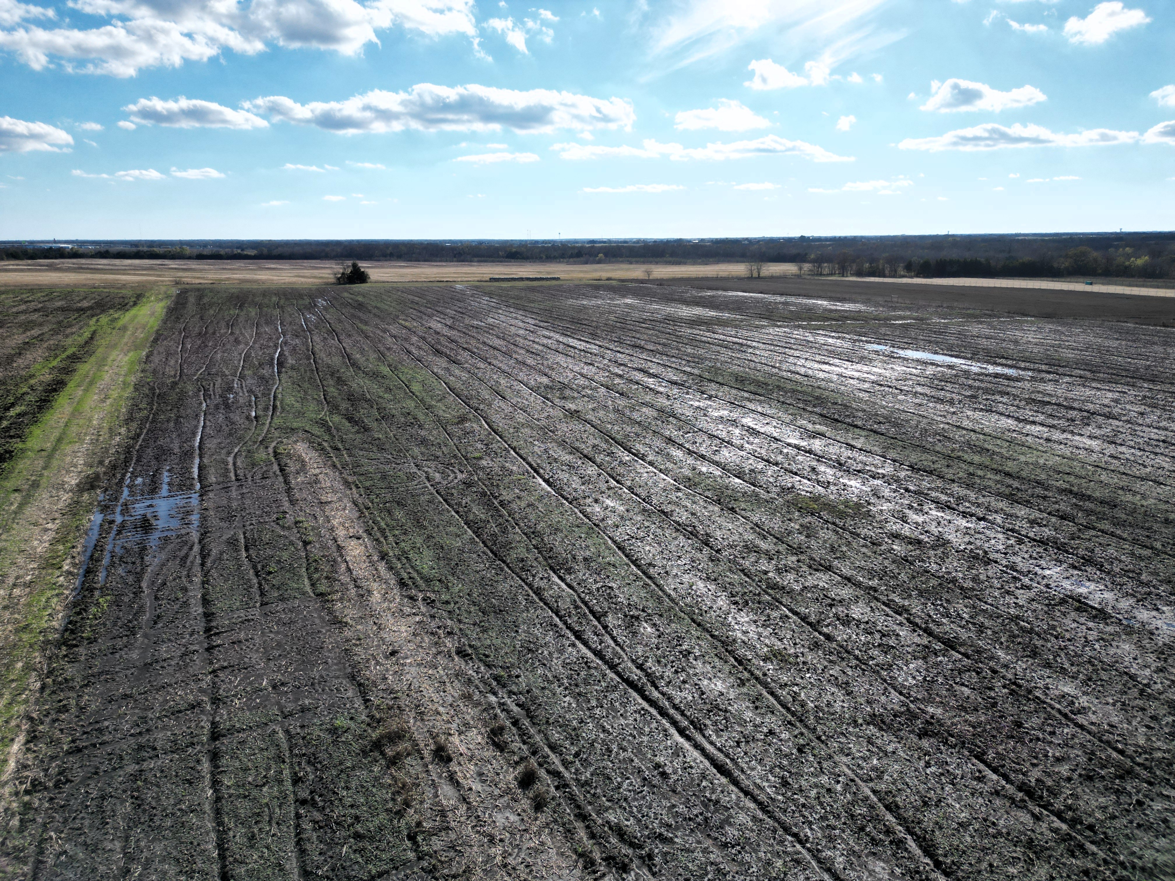 Caddo Mills, Texas, 75135, United States, ,Land,For Sale,2000053