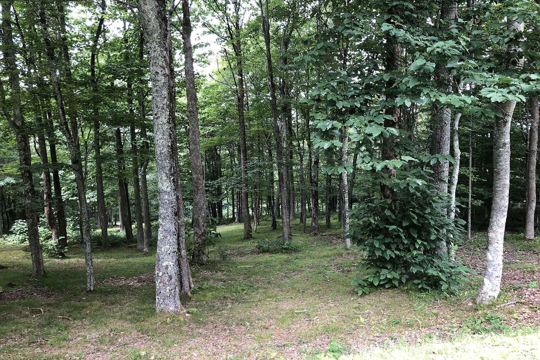 BANNER ELK - ROCKY KNOB - 物件實景