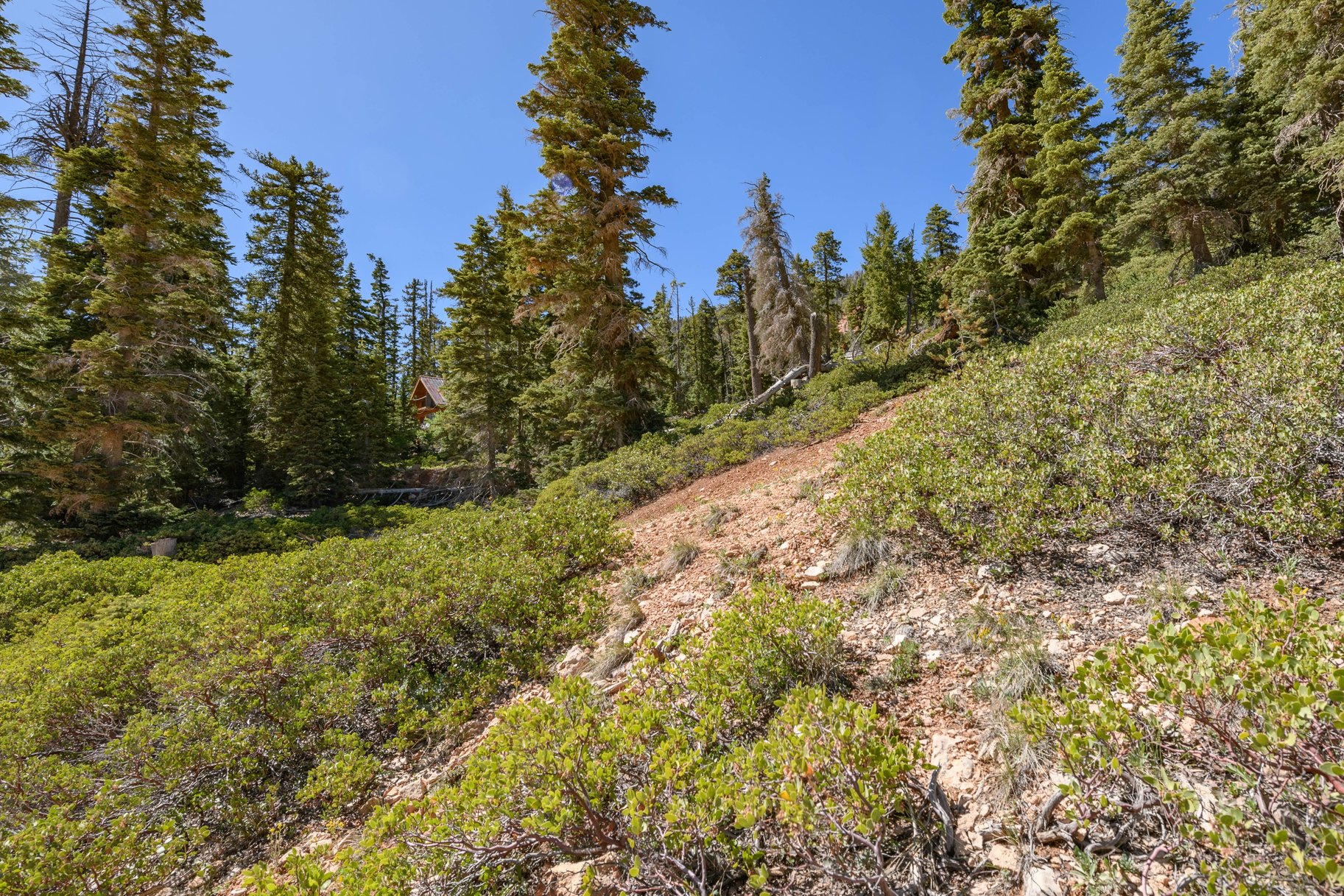  Quiet Mountain Retreat Near Navajo Lake - 物件實景
