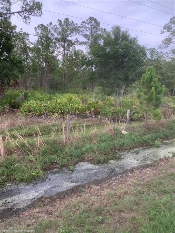 Venus, Florida, 33960, United States, ,Land,For Sale,1984372