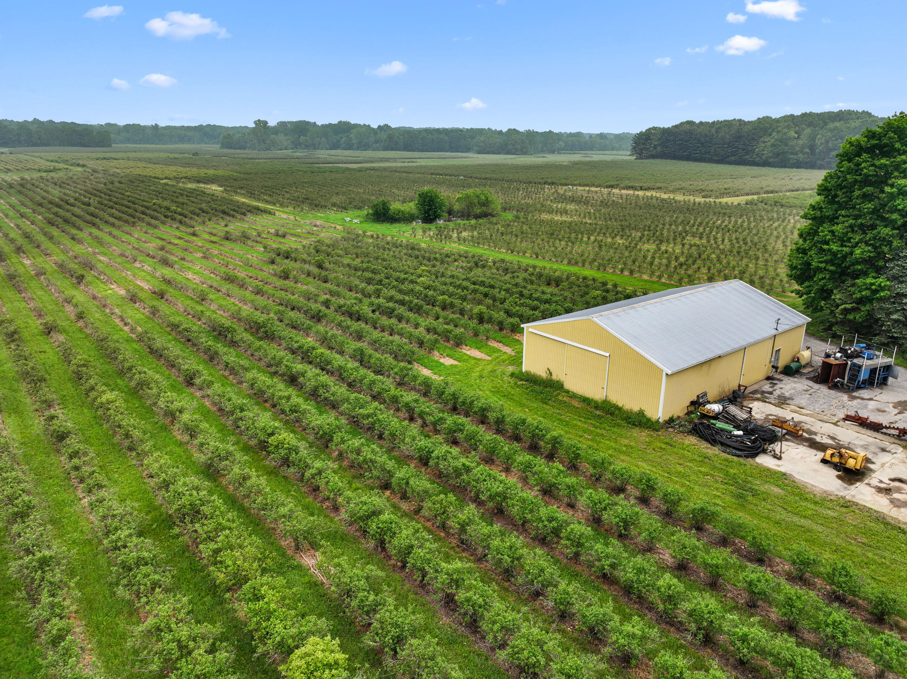 Benton Harbor, Michigan, 49022, United States, ,Land,For Sale,1848947