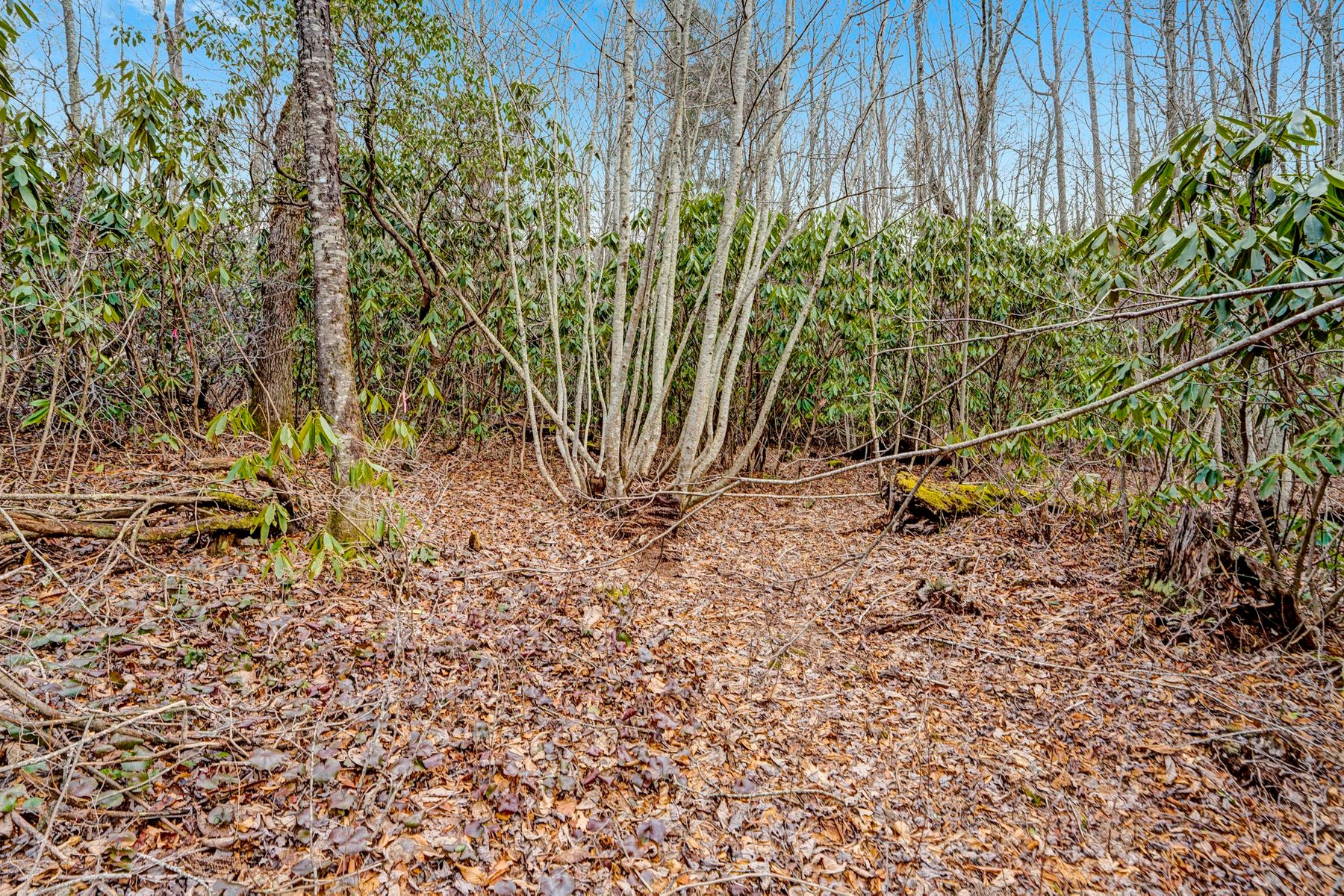  Lot 21 Hardscrabble Ridge Road - 物件實景