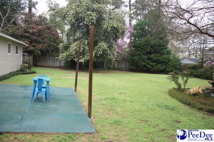 Oakdale Dr, Hartsville, SC 29550 #1