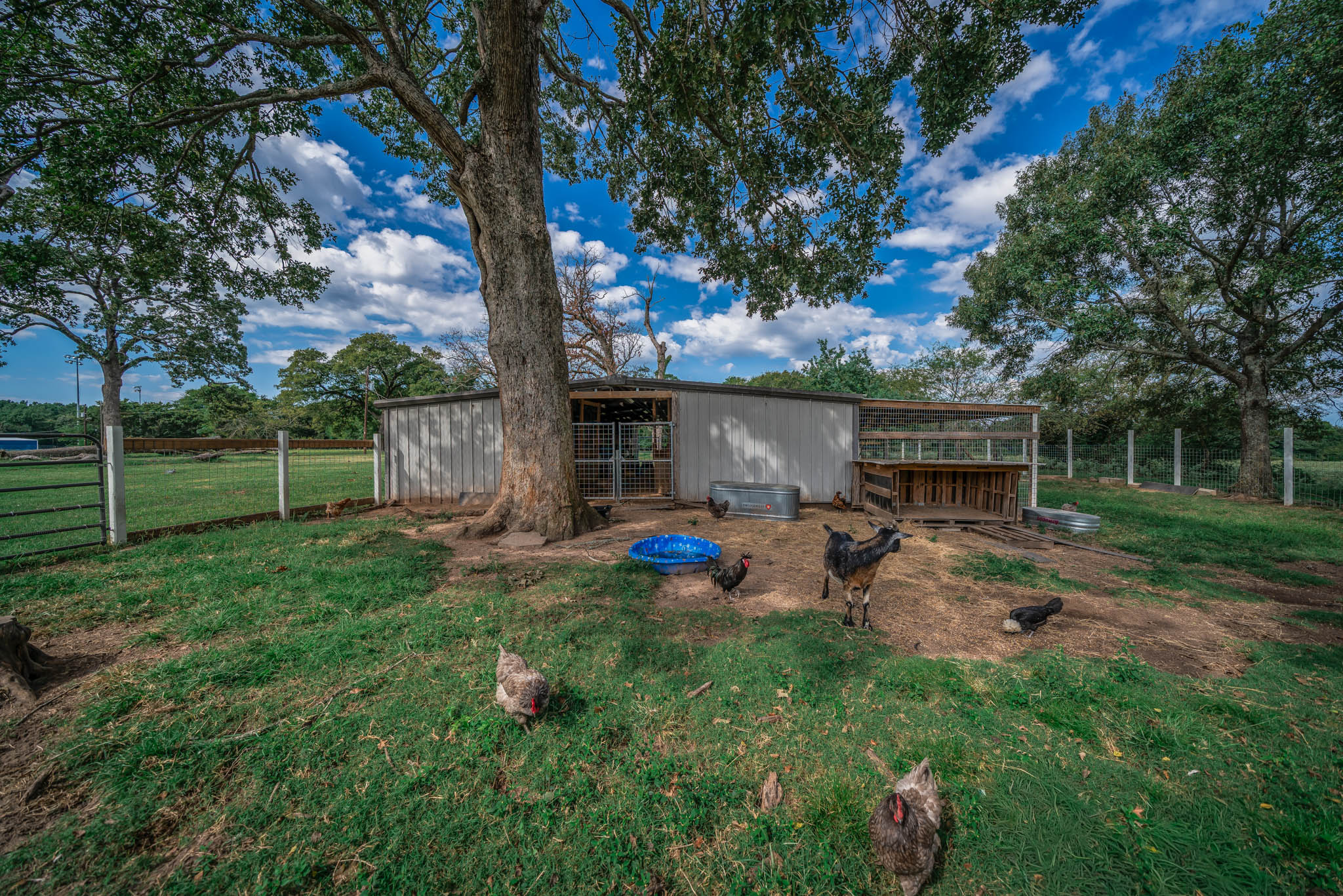 Jacksonville, Texas, 75766, United States, 4 Bedrooms Bedrooms, ,3 BathroomsBathrooms,Residential,For Sale,1975074