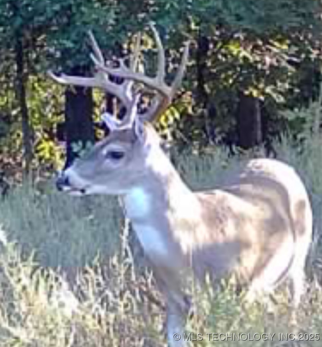 Haskell, Oklahoma, 74436, United States, ,Residential,For Sale,1989173