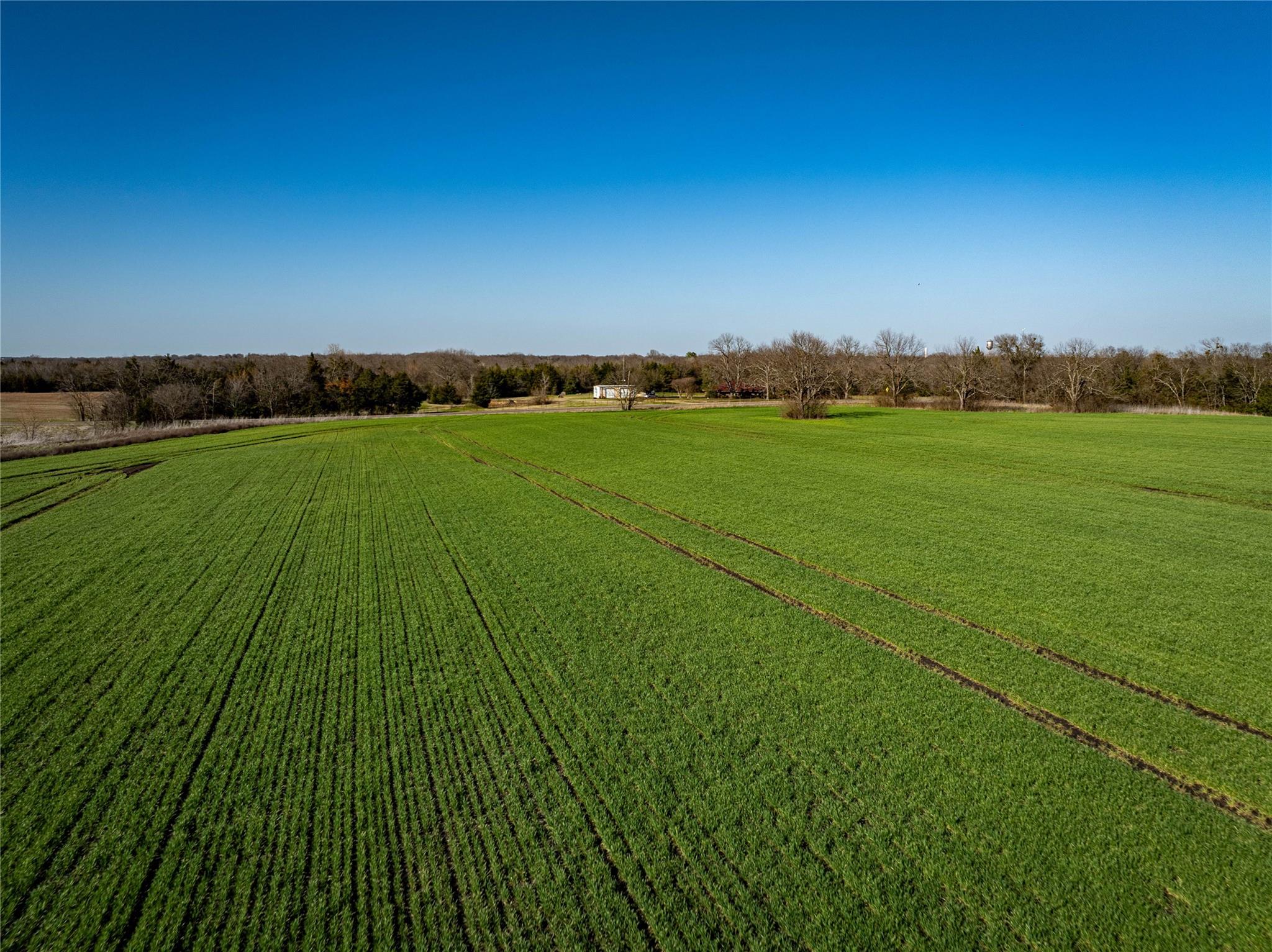 Roxton, Texas, 75477, United States, ,Residential,For Sale,1935502