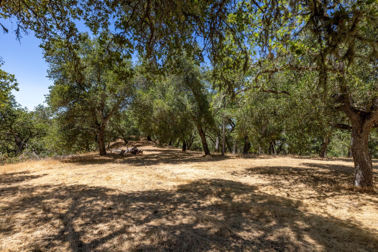 9 Long Ridge Trl, Carmel, California, 93923, United States, ,Land,For Sale,9 Long Ridge Trl,1663124