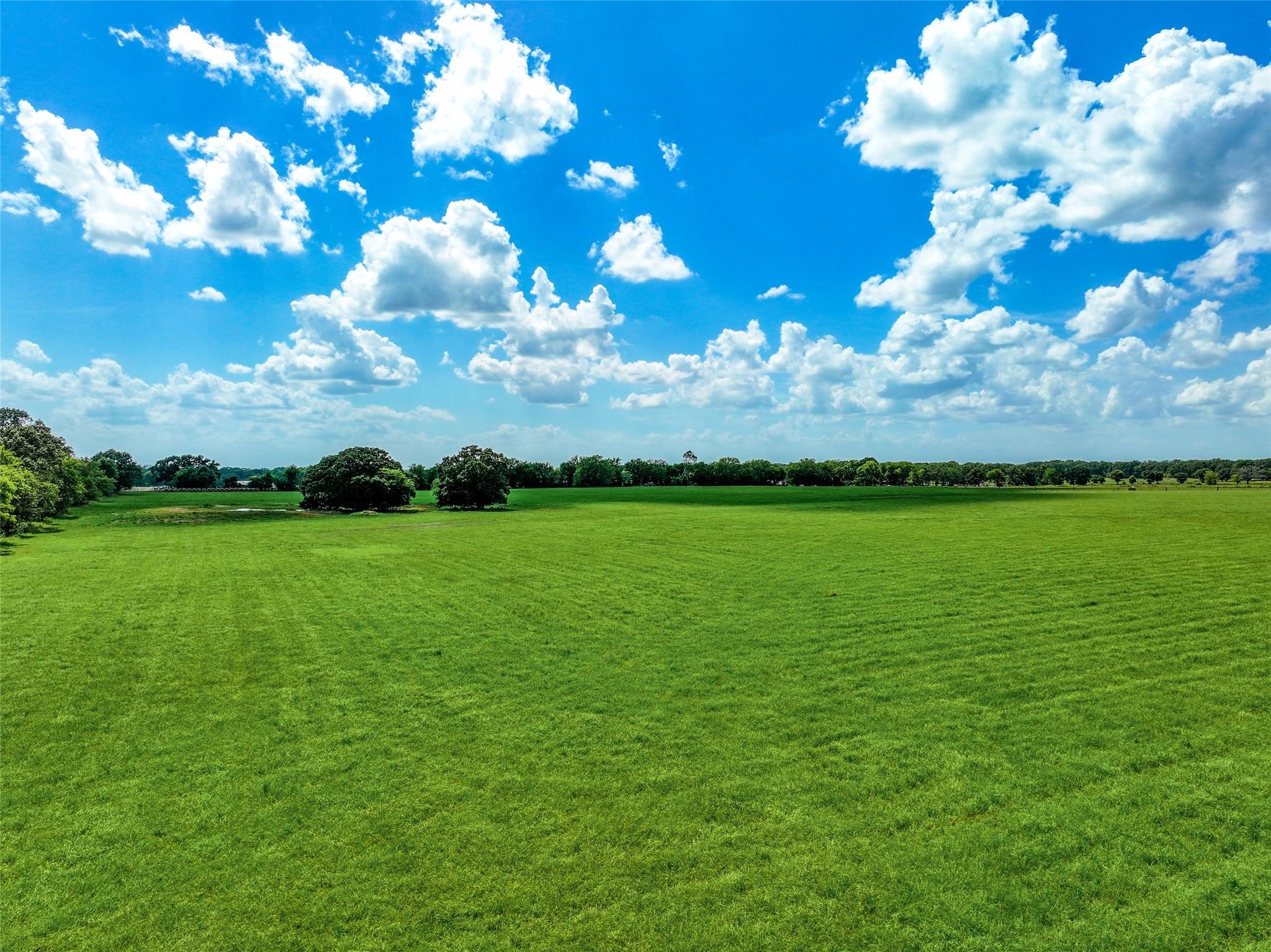 Alba, Texas, 75410, United States, ,Residential,For Sale,1886951