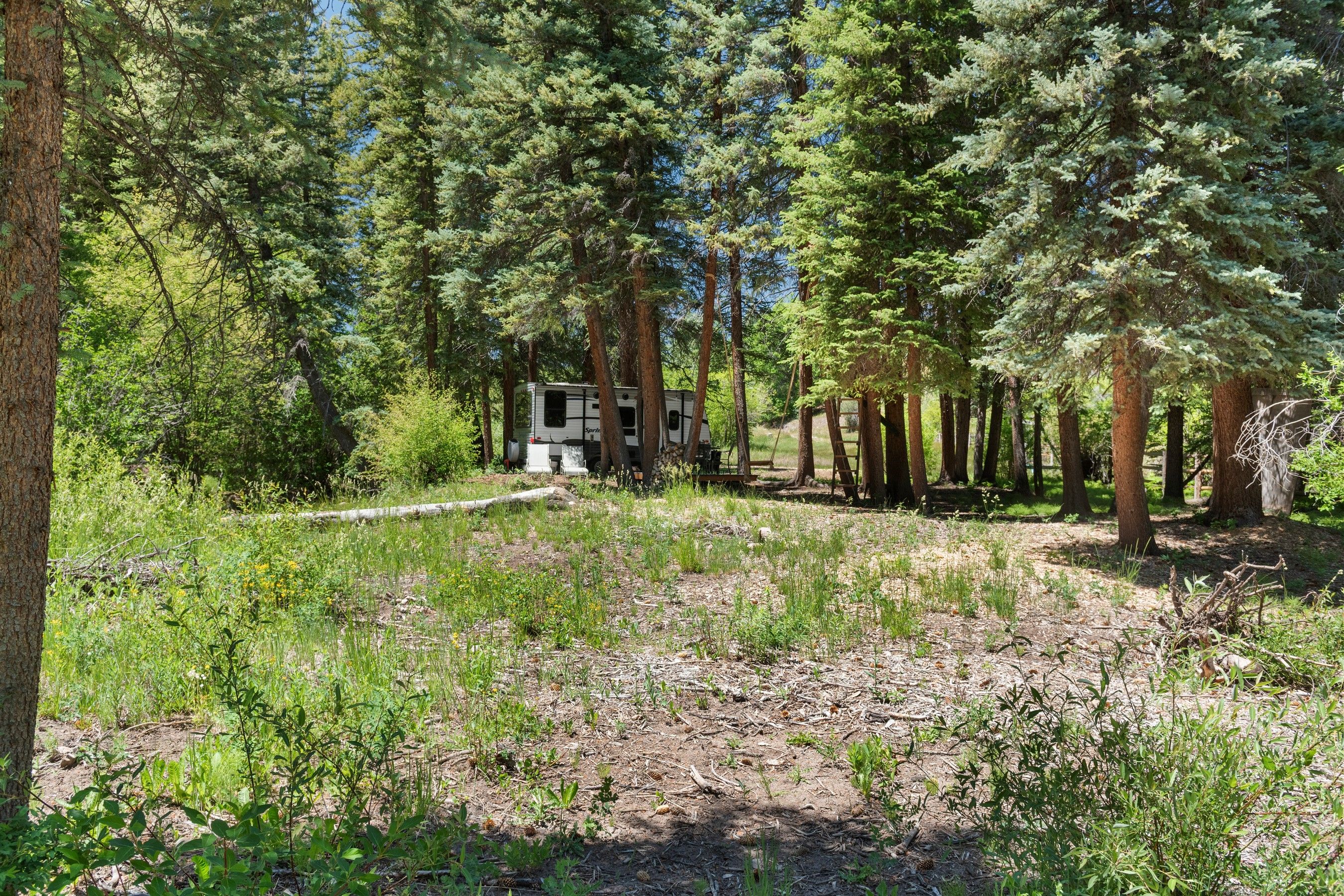  Historic Ranch Heritage Meets Refined Mountain Living - 物件實景
