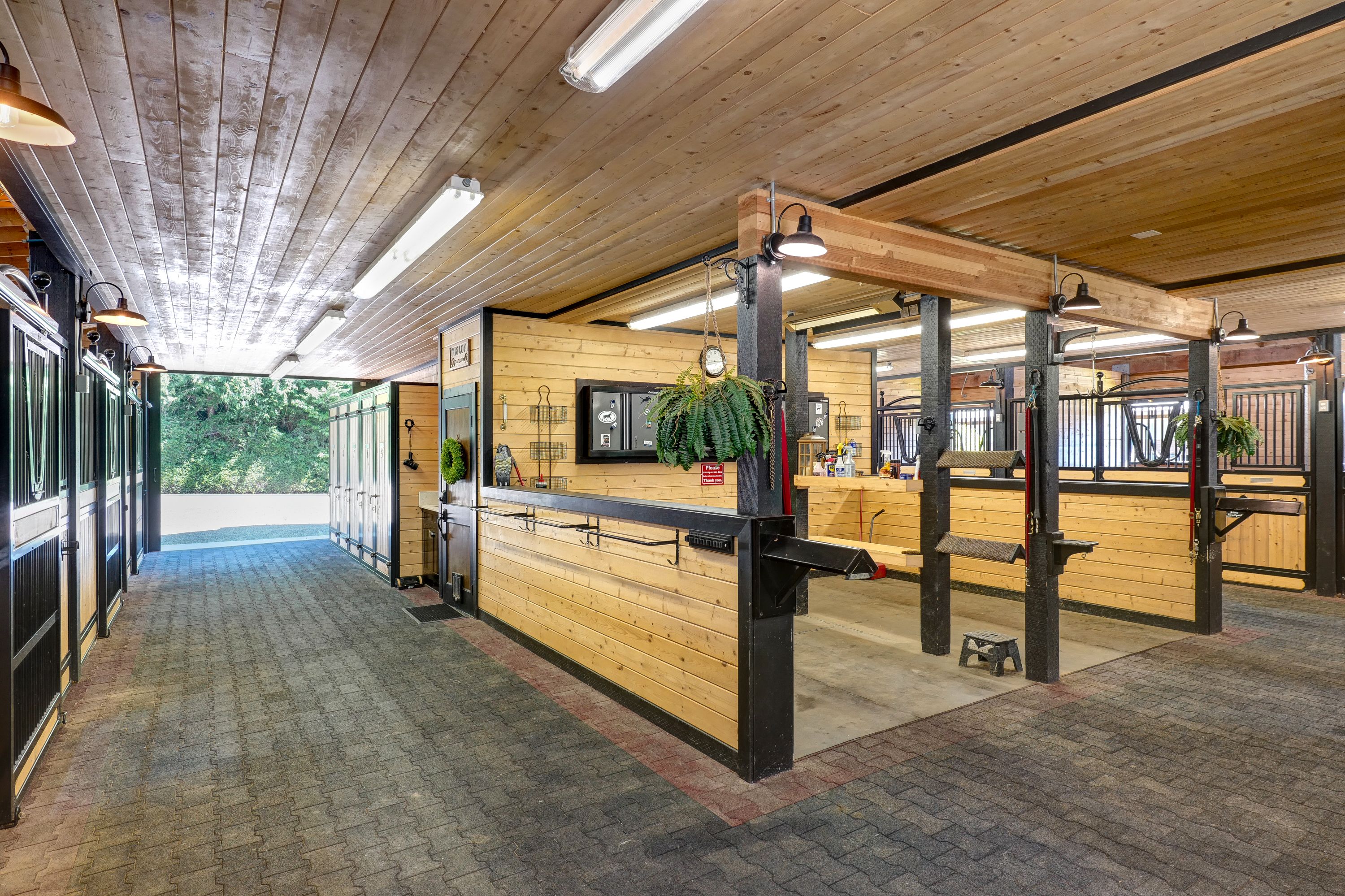  Koru Equestrian  A Legacy of Elegance & Equine Excellence - 物件實景