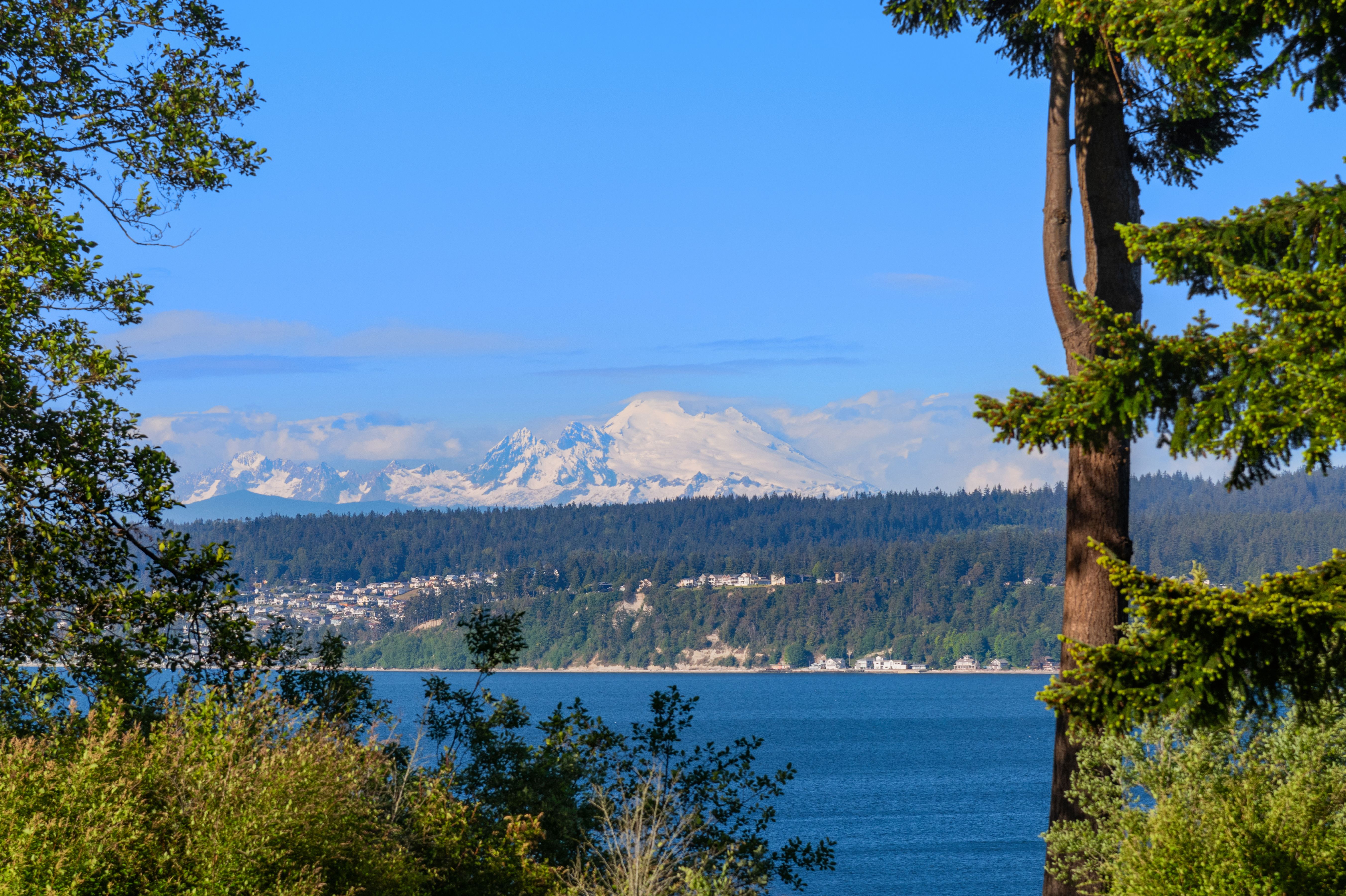  1035 Susan St, Coupeville, WA 98239 - 物件實景