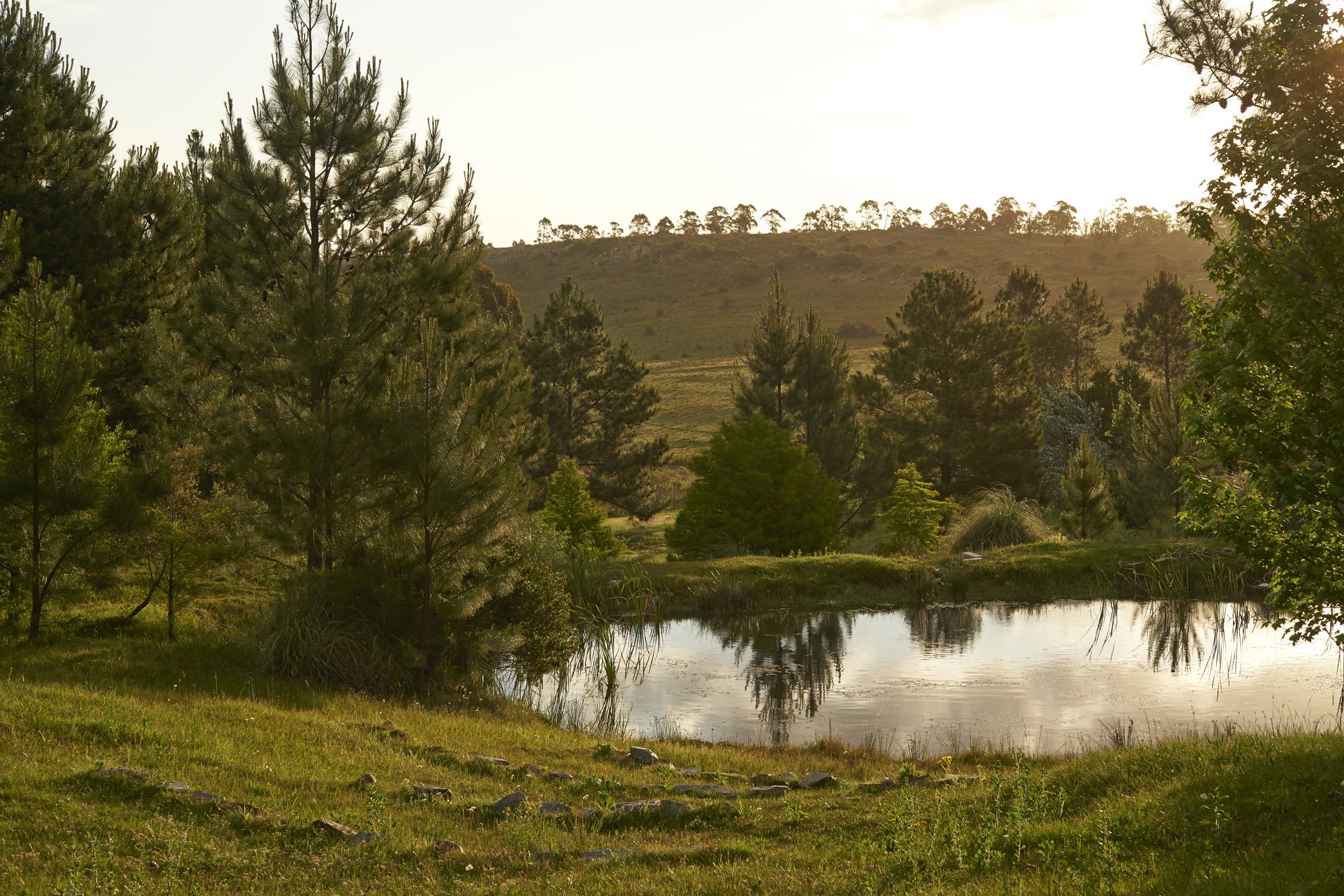  A unique farm on the Sierra de la Ballena. - 物件實景