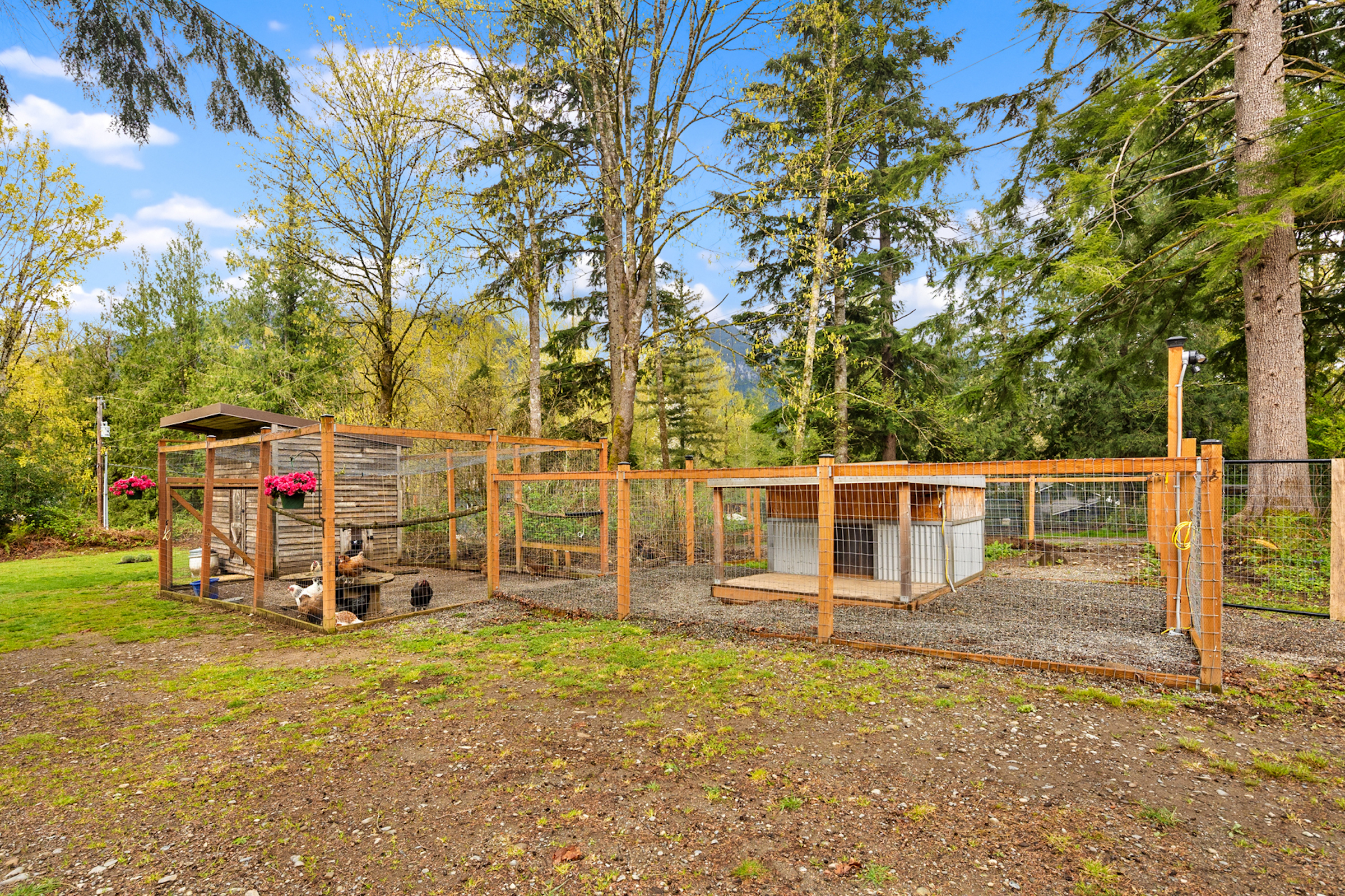  Northwest Lifestyle in Gold Bar - 物件實景